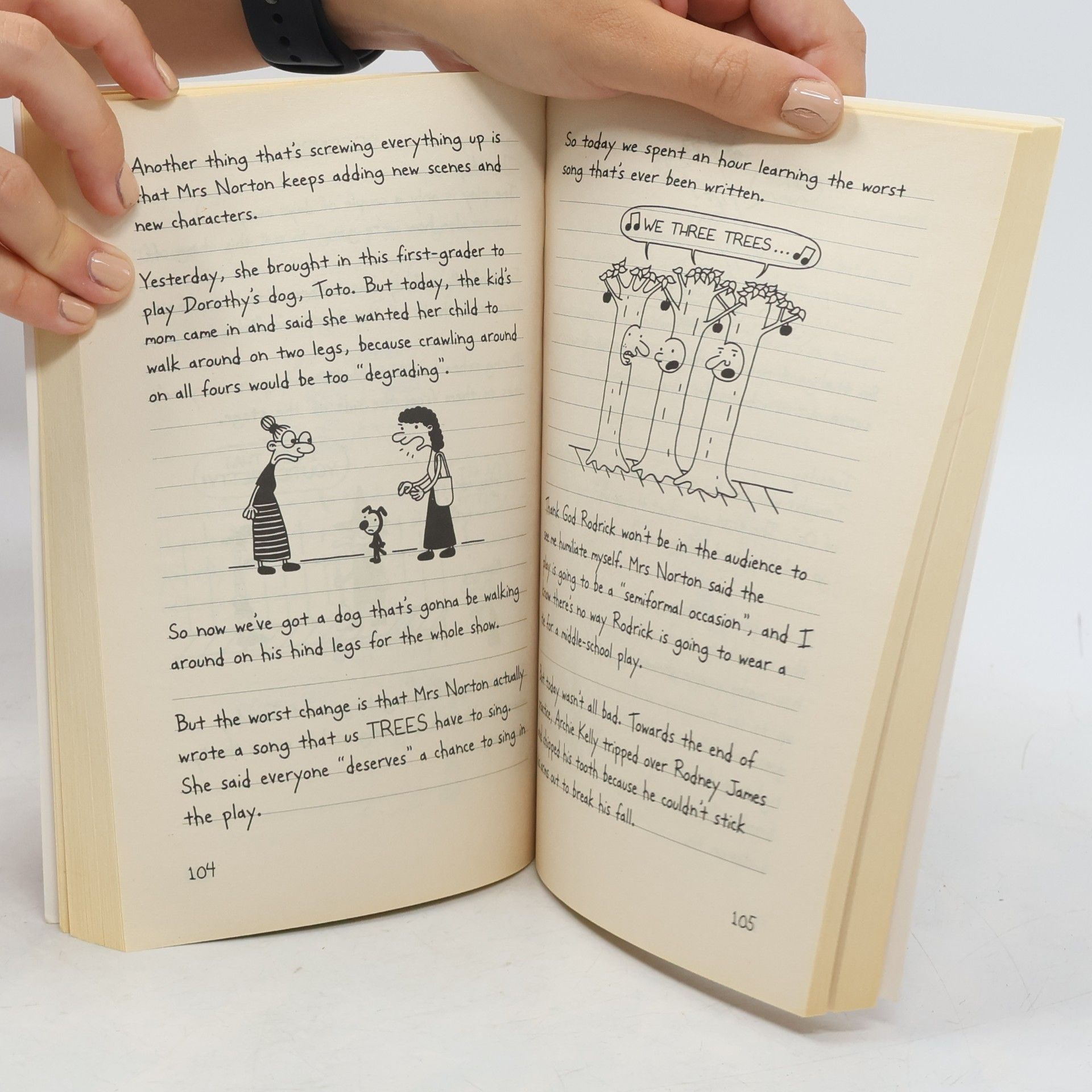 Jeff Kinney Diary of a Wimpy Kid 1