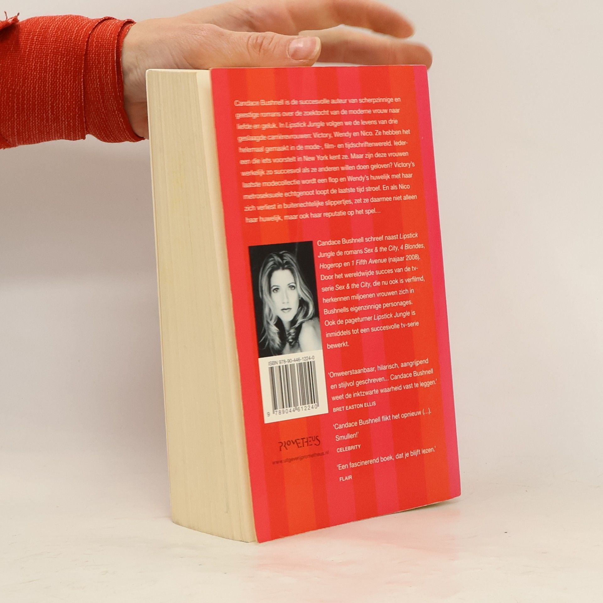 Candace Bushnell Lipstick Jungle
