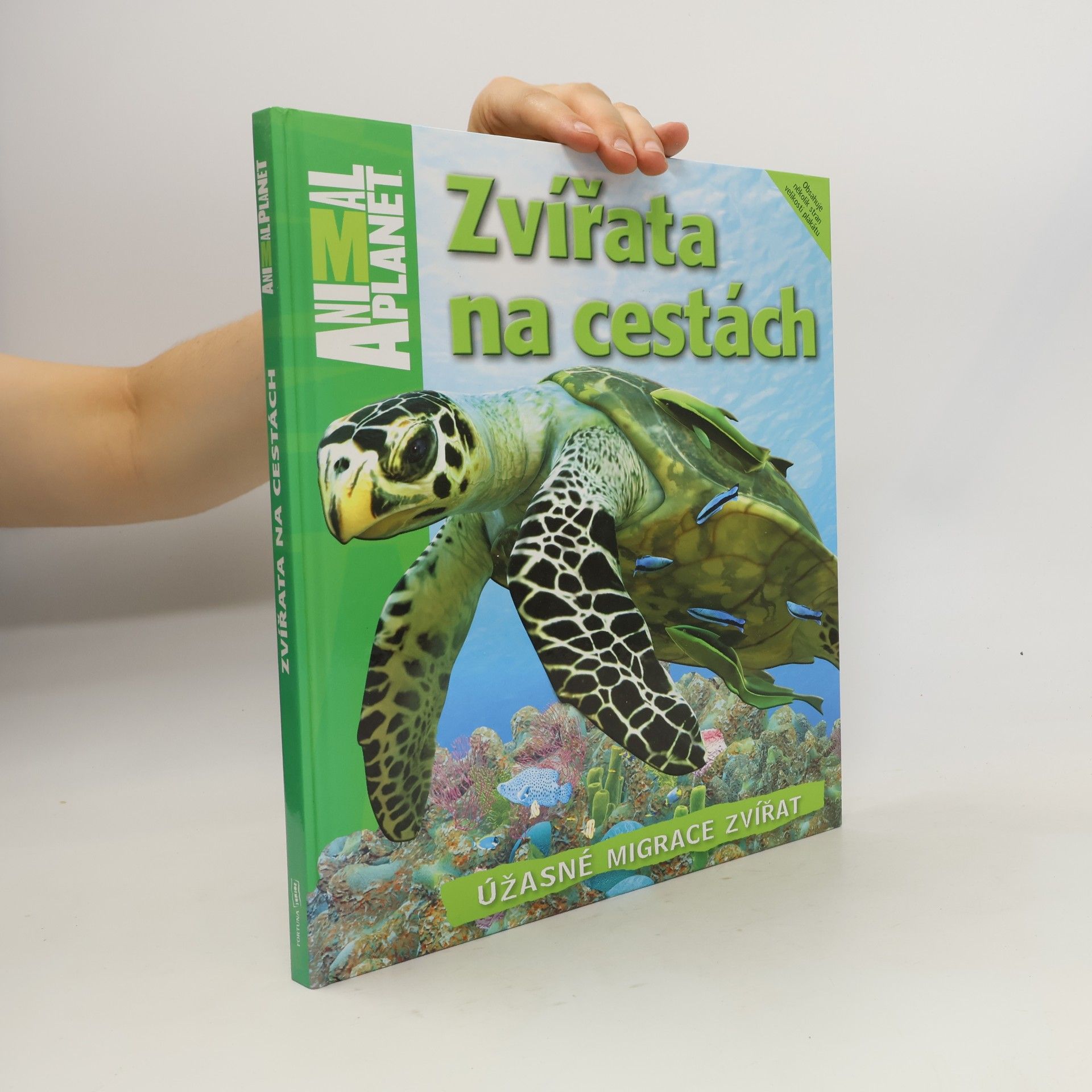 Dwight Holing Zvířata na cestách : úžasné migrace zvířat