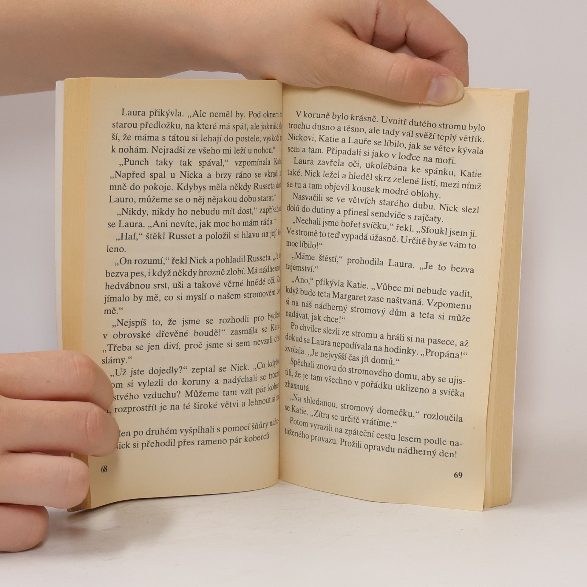 Enid Blyton Hádanka dutého stromu