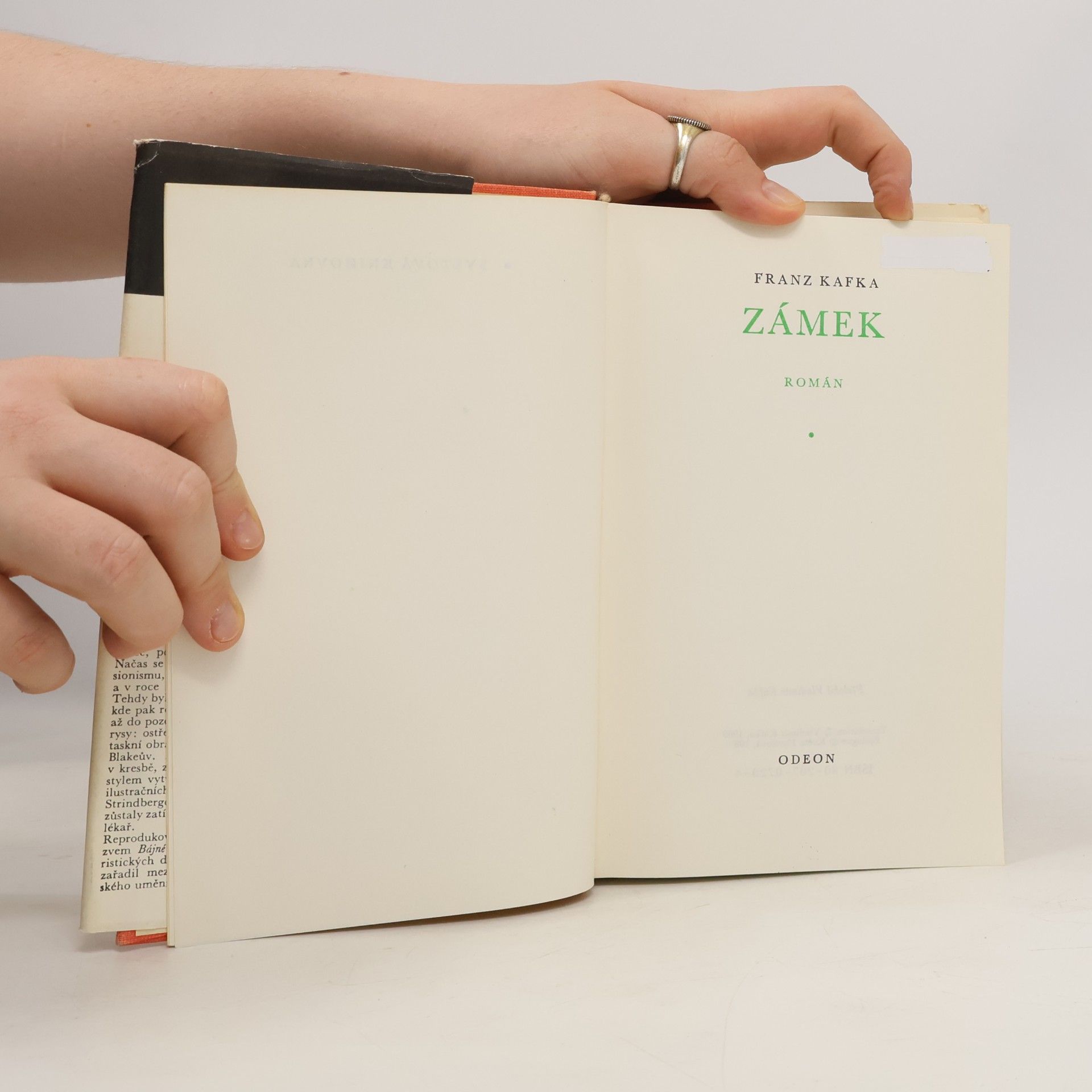 Franz Kafka Zámek