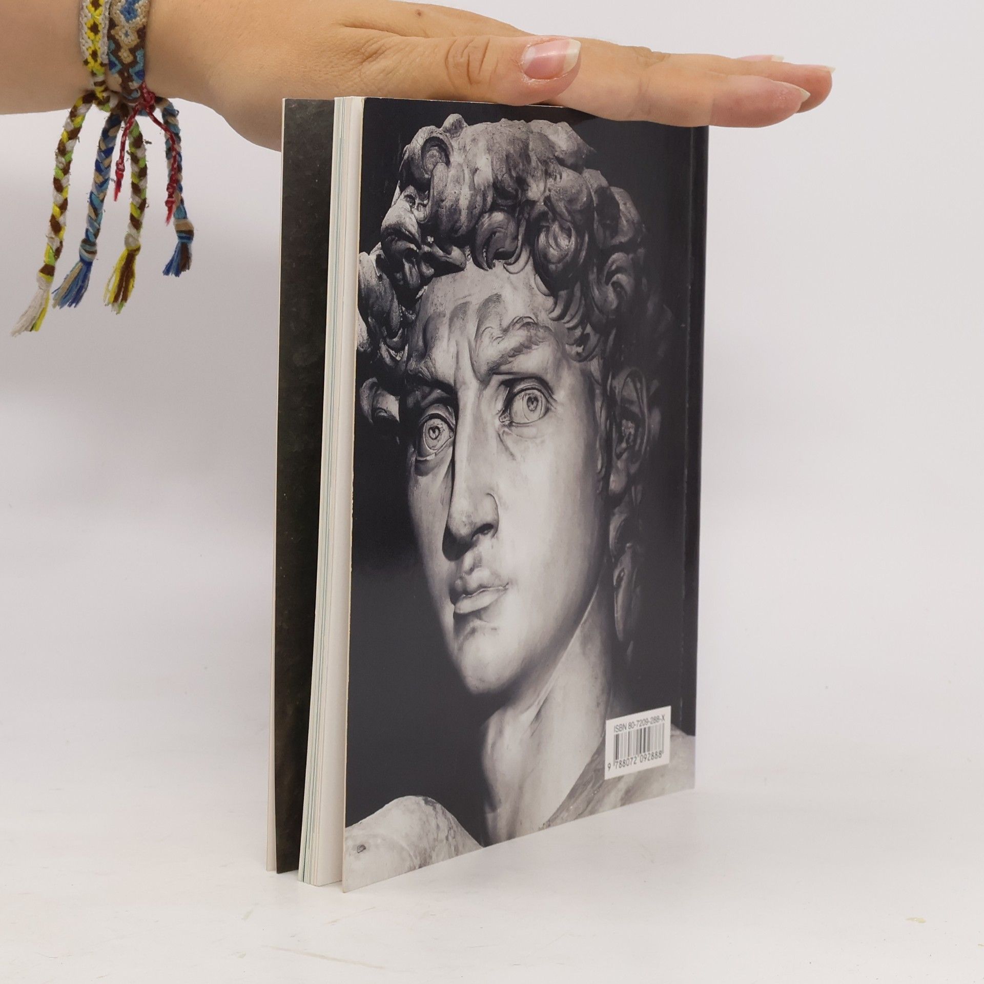 Alexandra Grömling Michelangelo Buonarroti : život a dílo