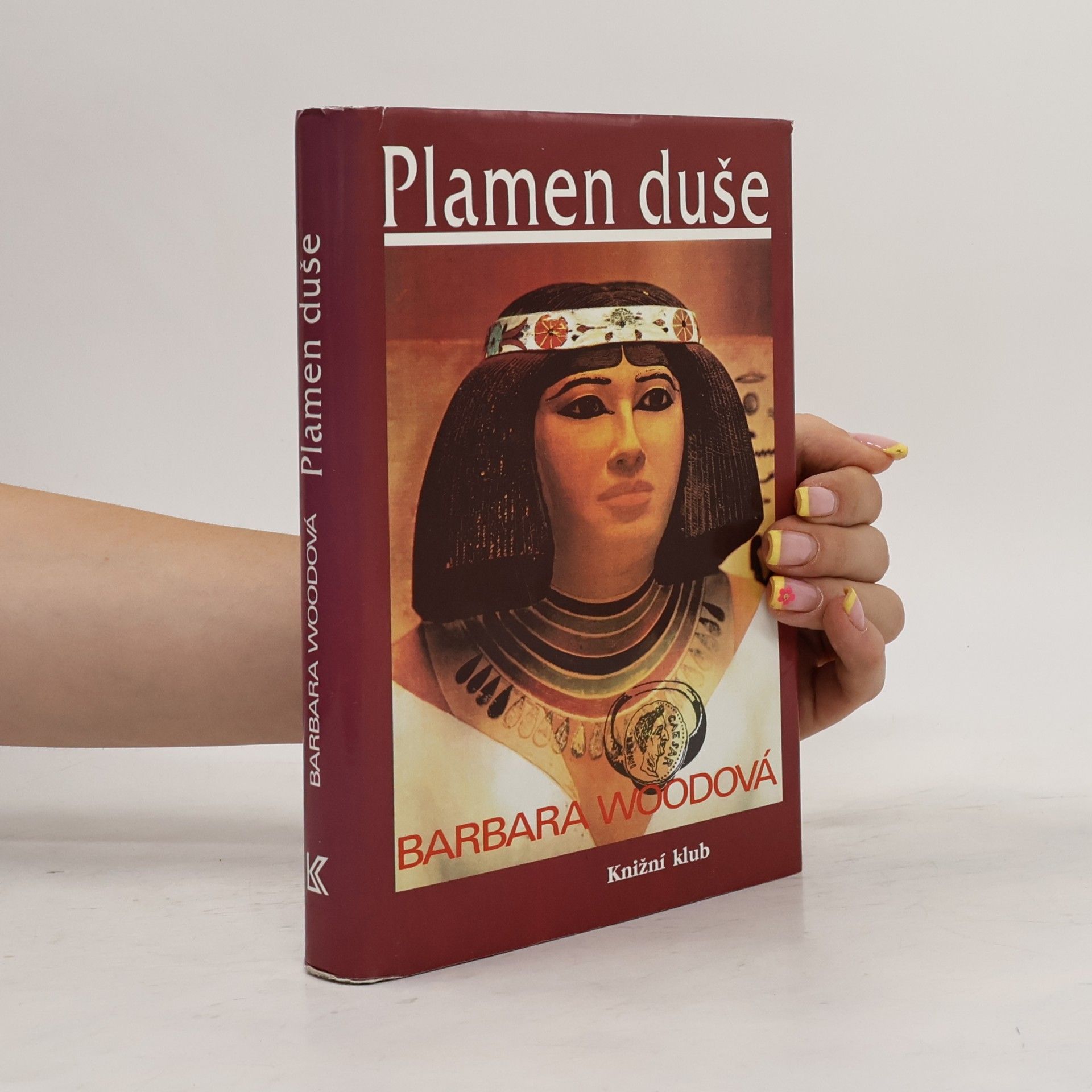 Barbara Wood Plamen duše