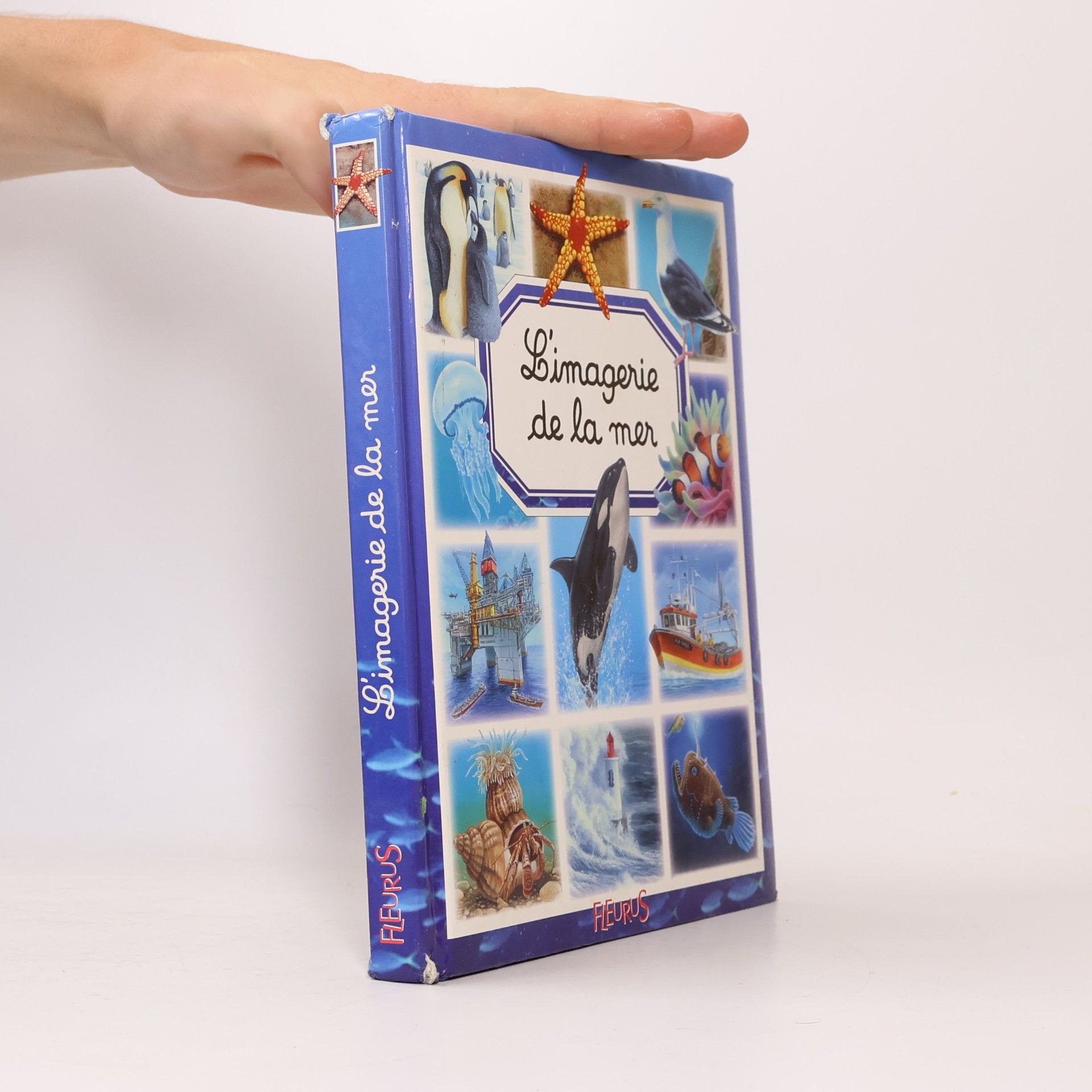 L'imagerie de la mer (French Edition)