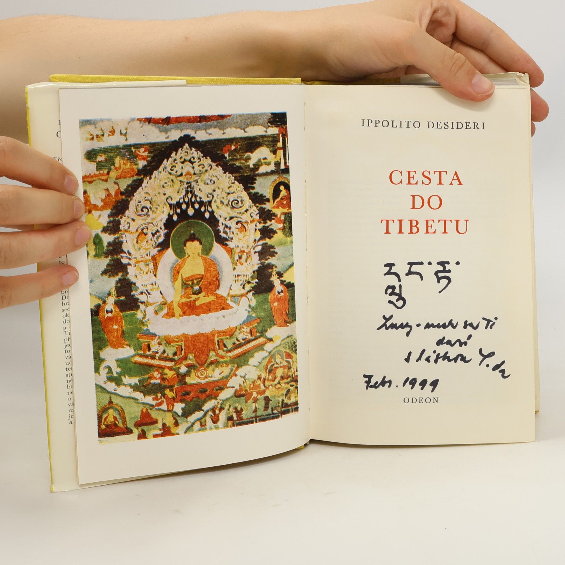 Ippolito Desideri Cesta do Tibetu