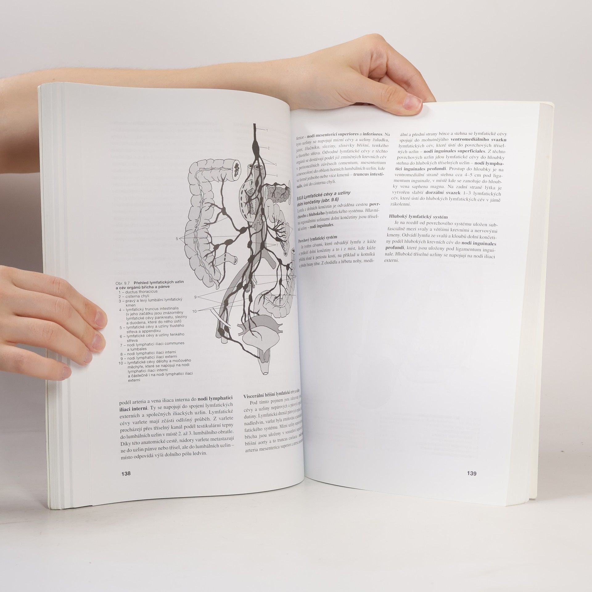 Miloslava Elišková Přehled anatomie