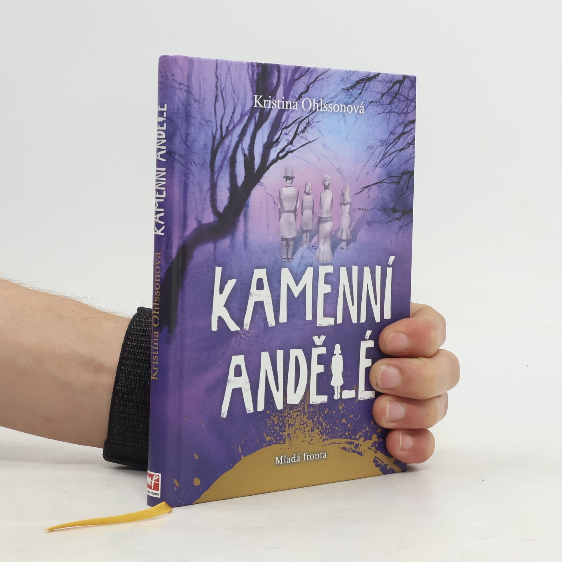 Kristina Ohlsson Kamenní andělé