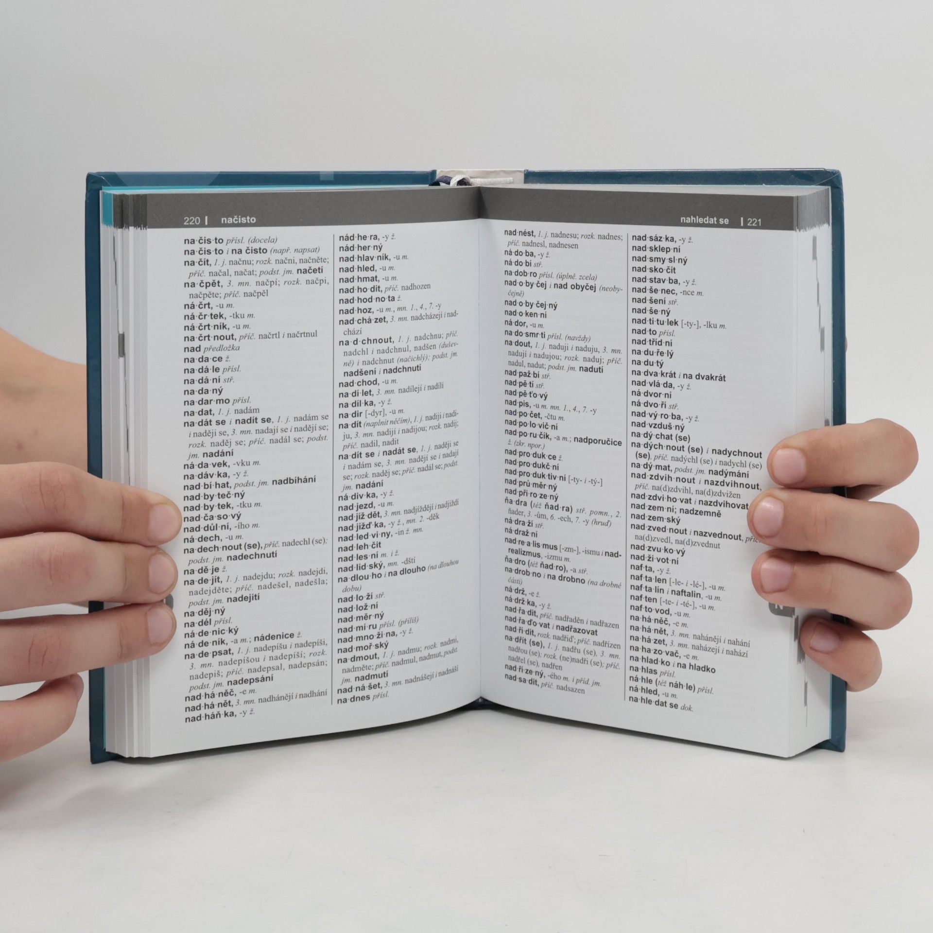 Various authors Pravidla českého pravopisu