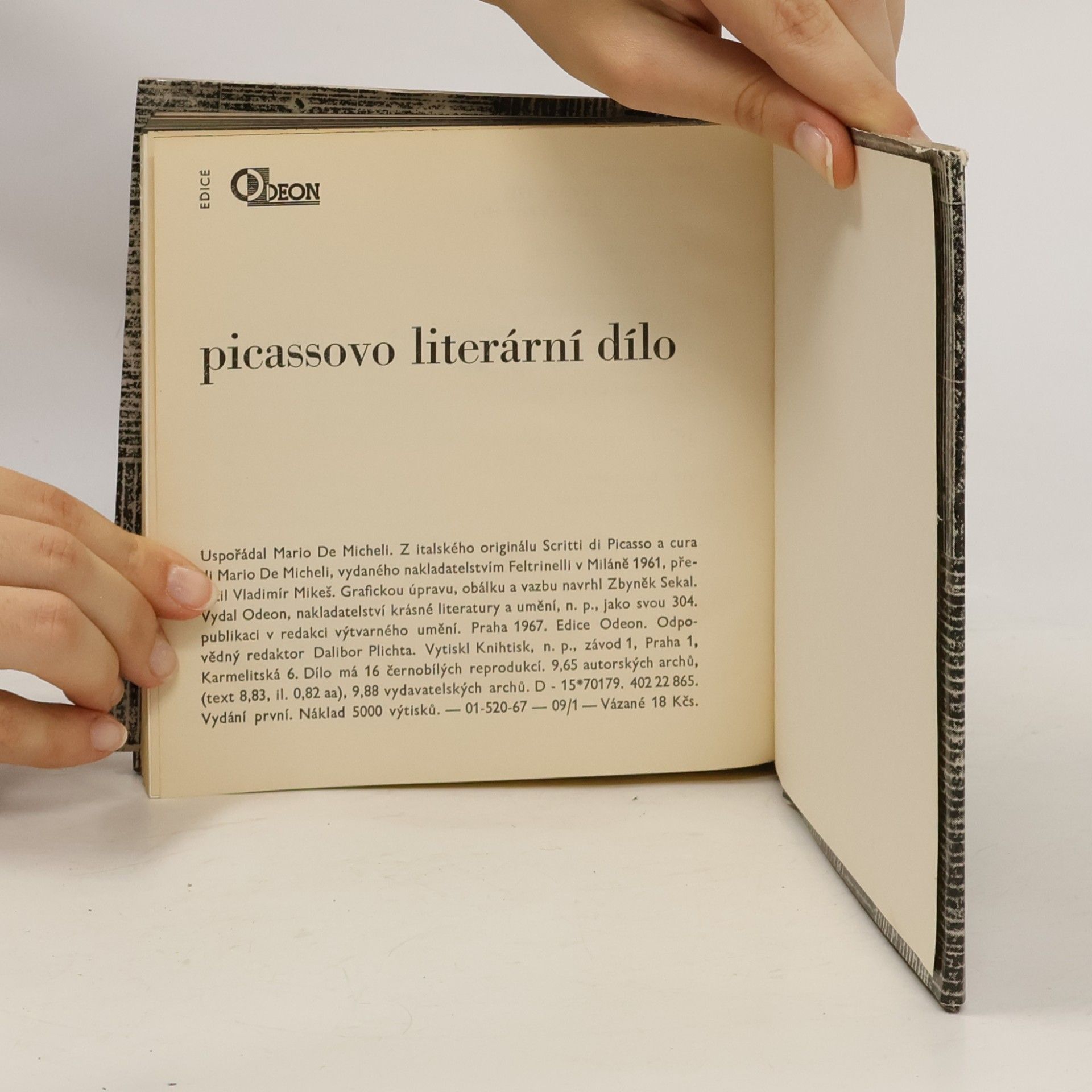 Mario De Micheli Picassovo literární dílo