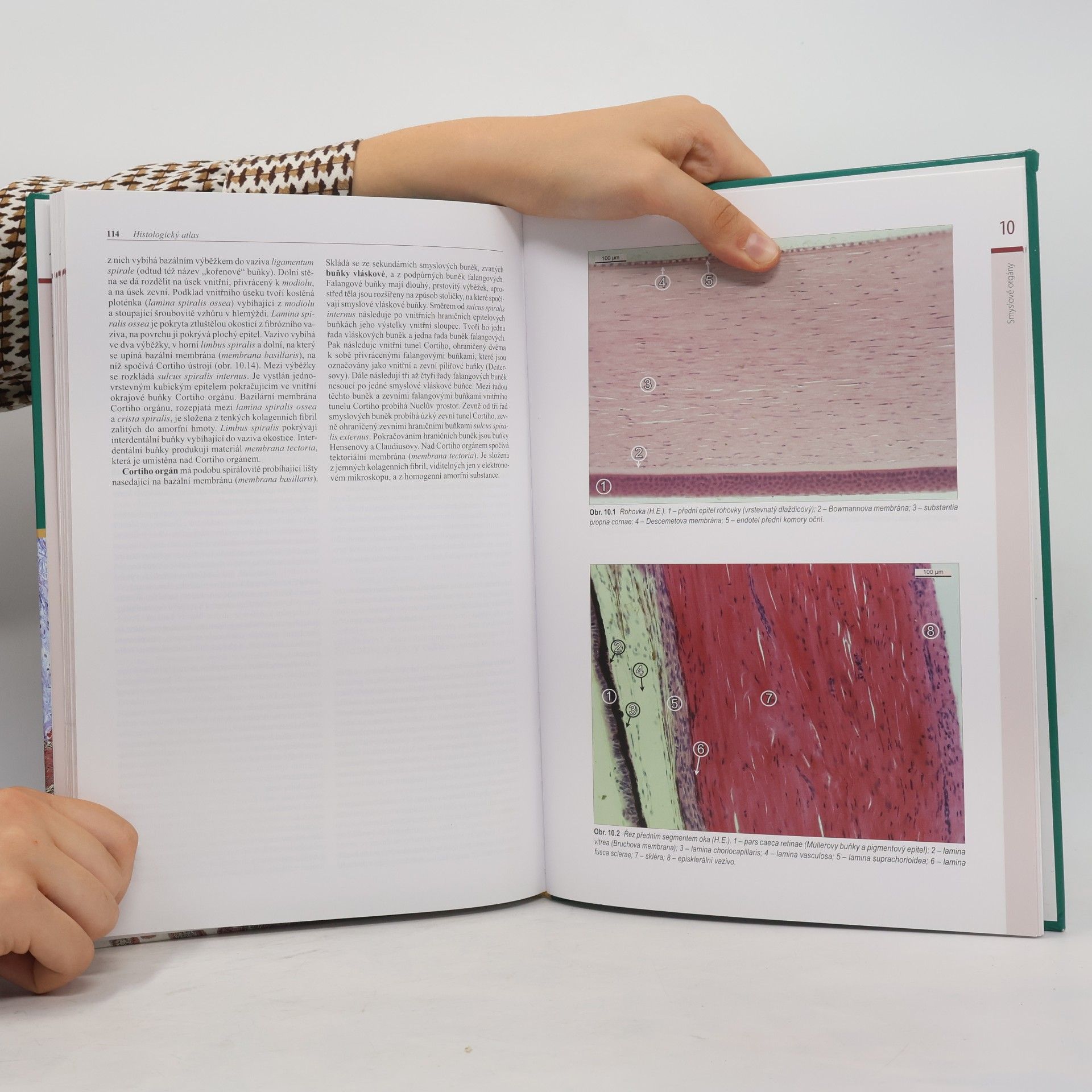 Jindřich Martínek Histologický atlas