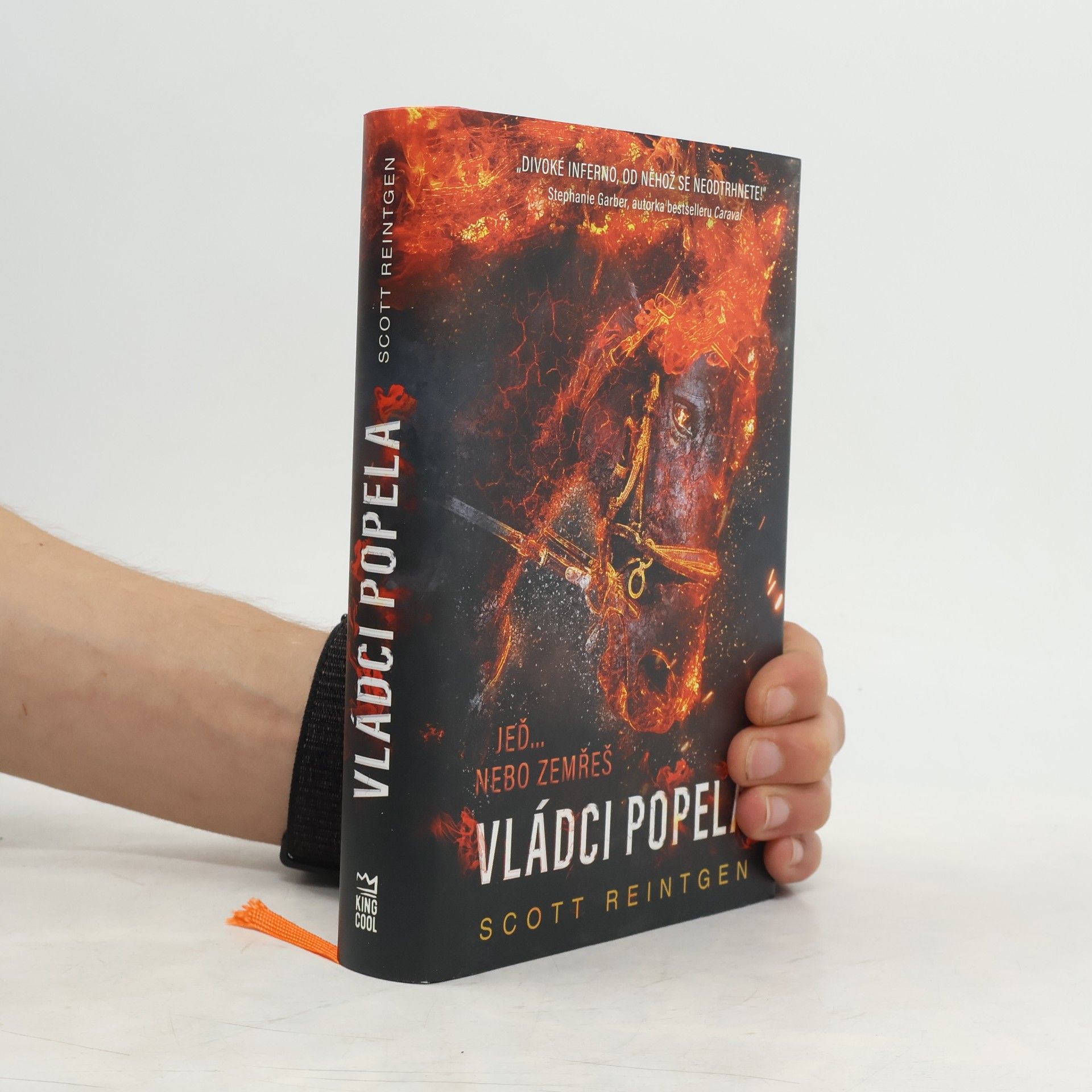 Scott Reintgen Vládci popela