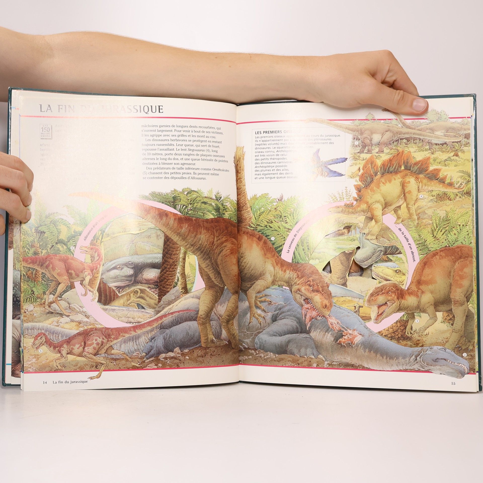 Nicholas Harris Au temps des dinosaures