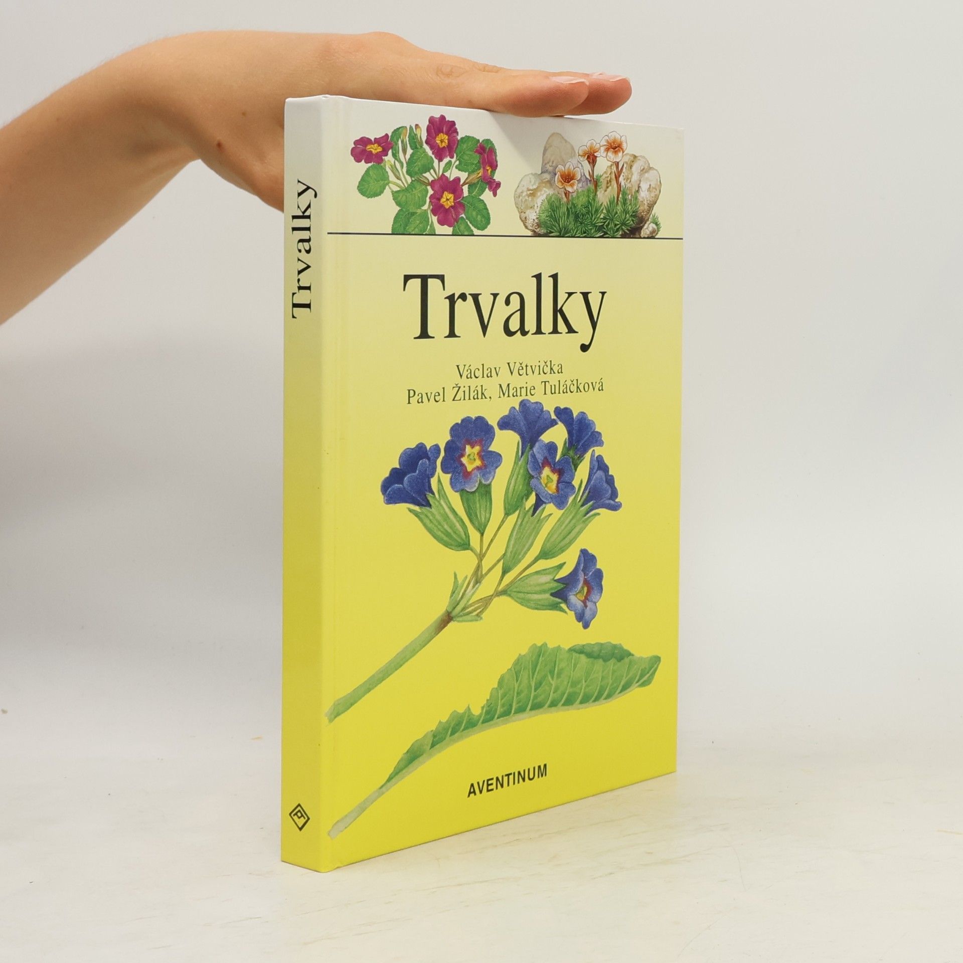 Václav Větvička Trvalky