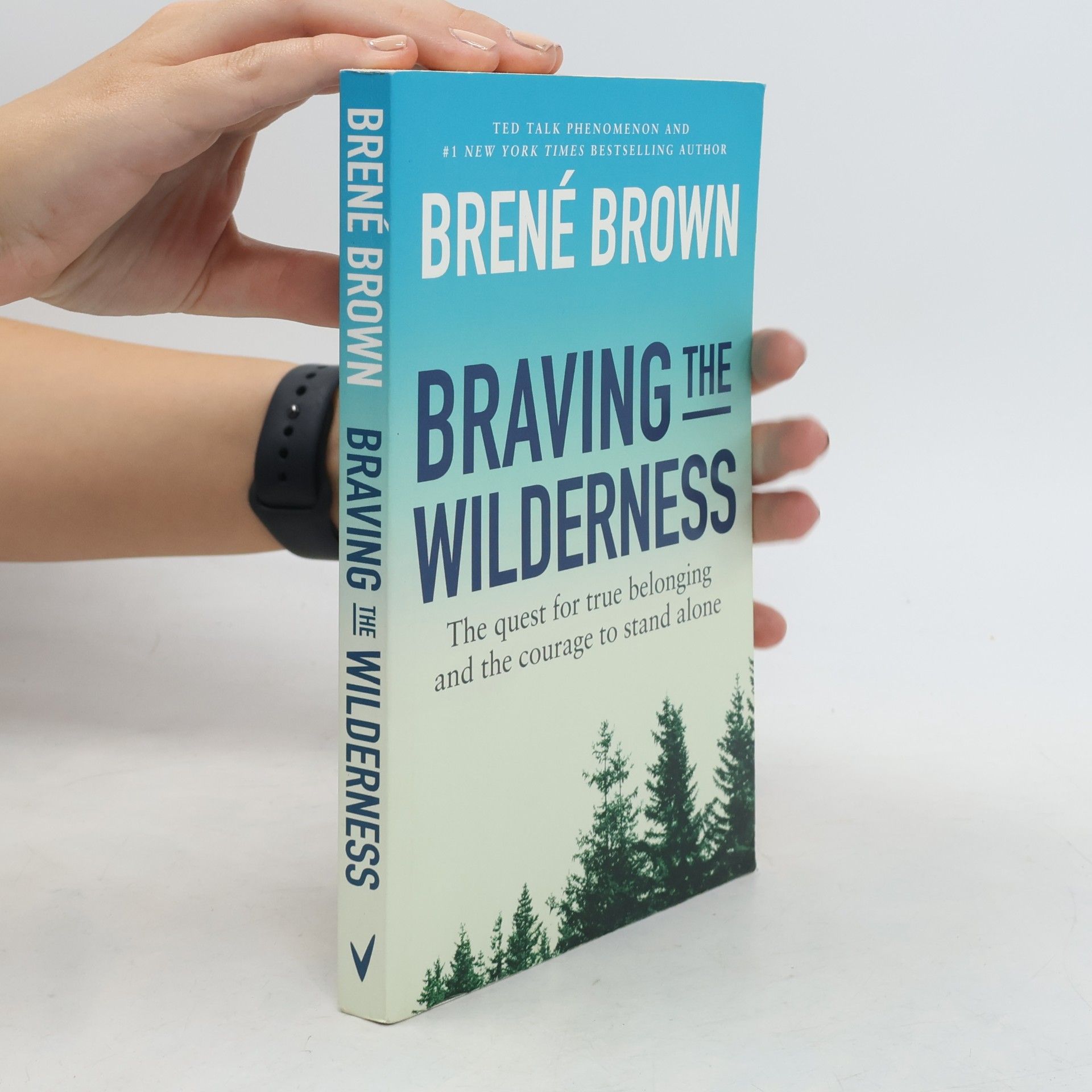 Brené Brown Braving the Wilderness