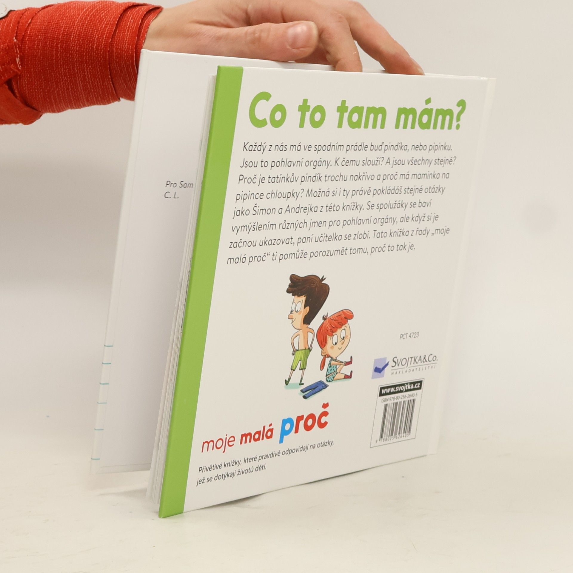 Camille Laurans Co to tam mám?