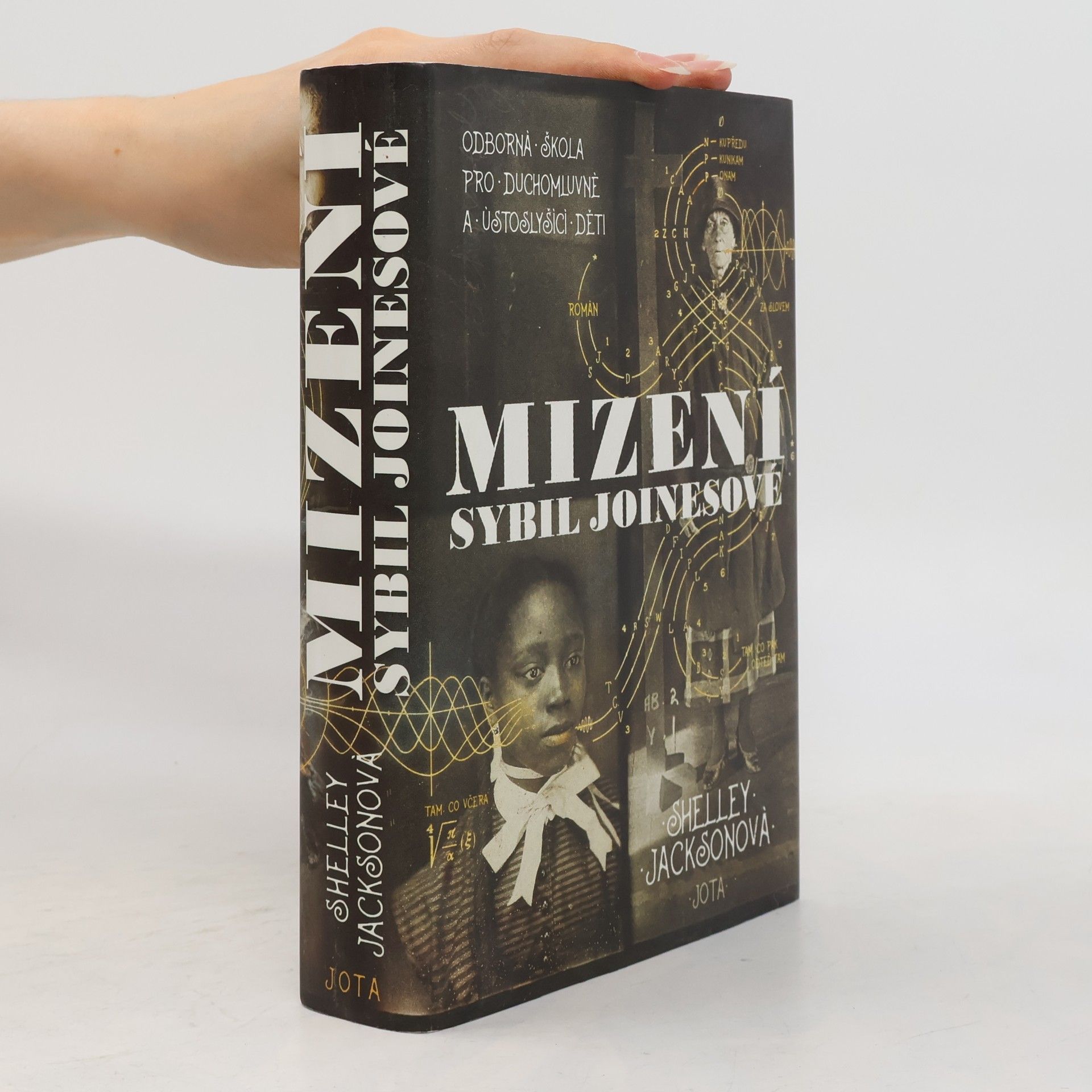 Shelley Jackson Mizení Sybil Joinesové