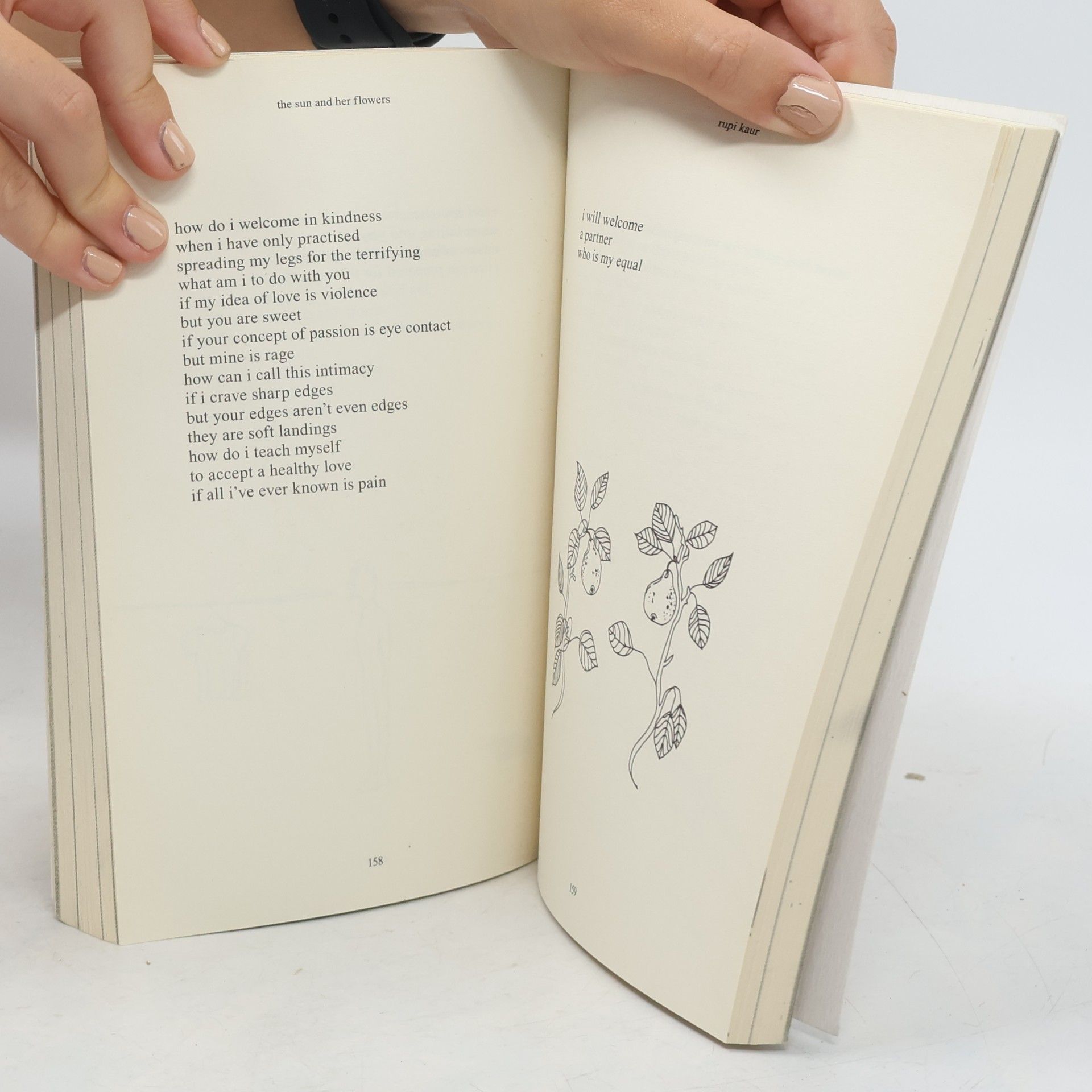 Rupi Kaur The Sun And Her Flowers