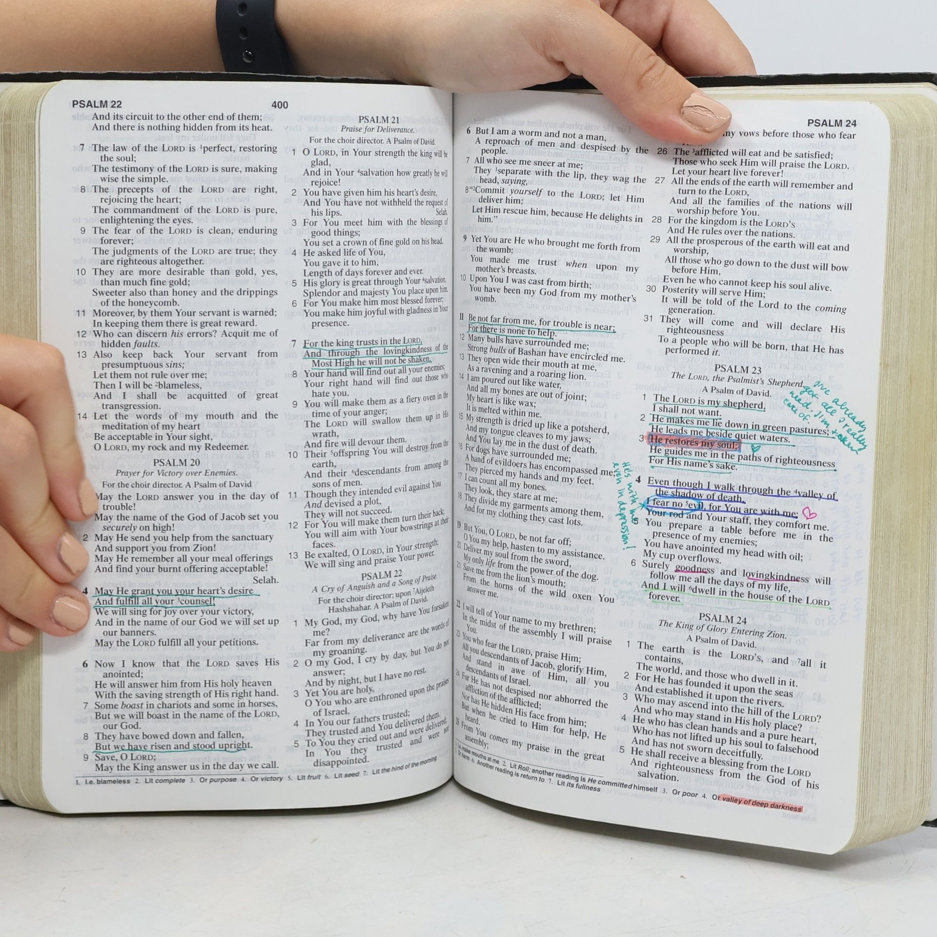 anonym New American Standard Bible