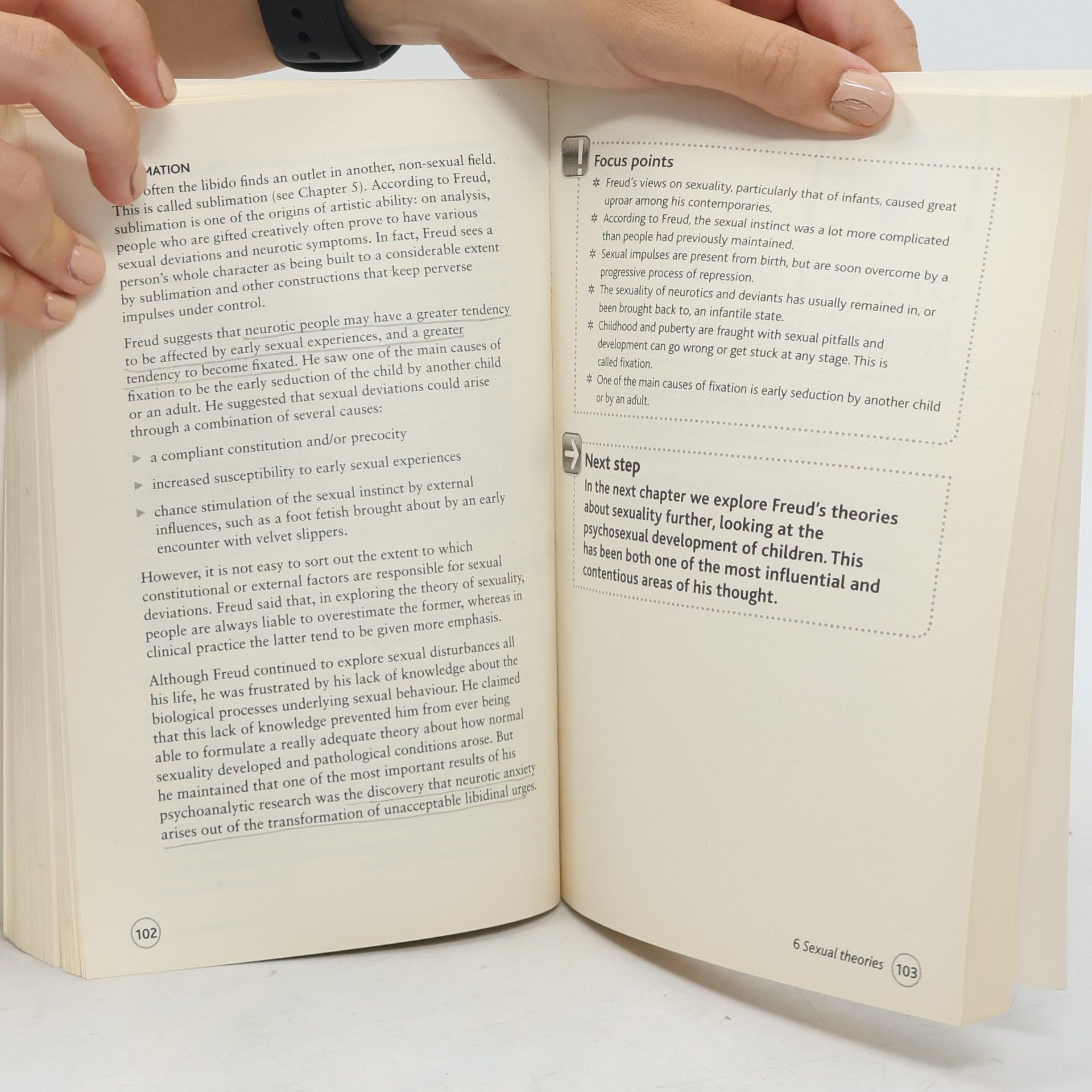 Ruth Snowden Freud: The Key Ideas