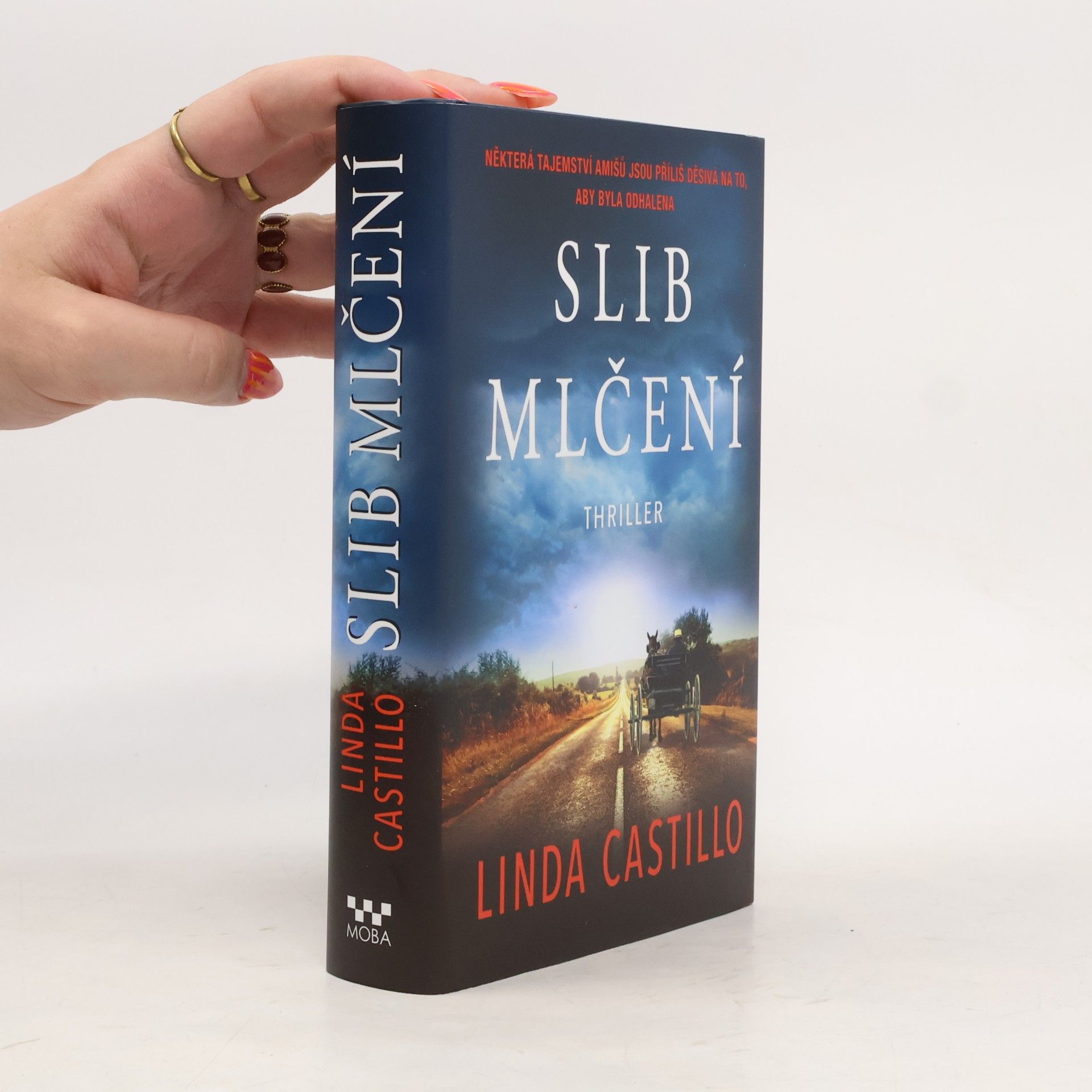 Linda Castillo Slib mlčení
