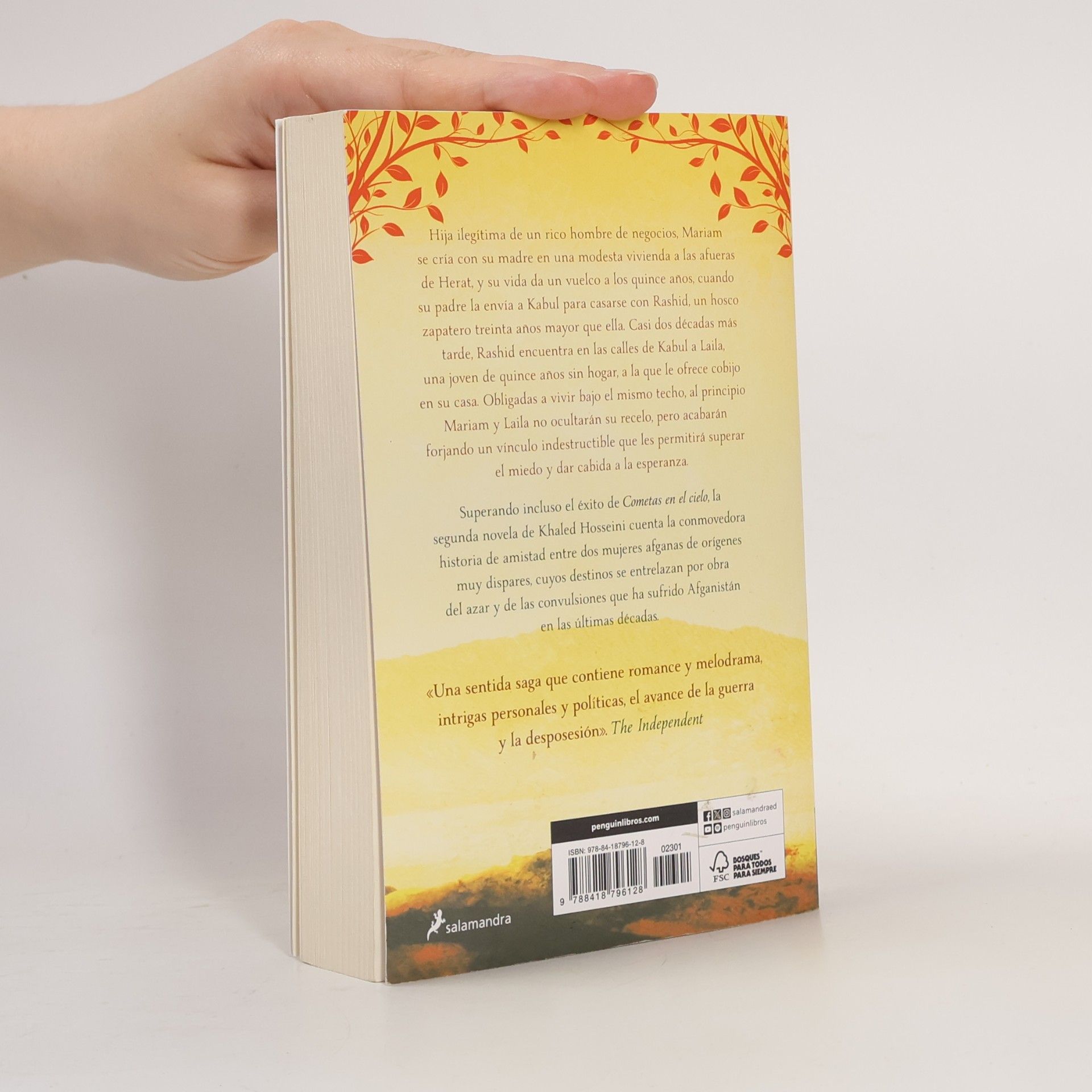 Khaled Hosseini Salamandra Bolsillo: Mil soles espléndidos