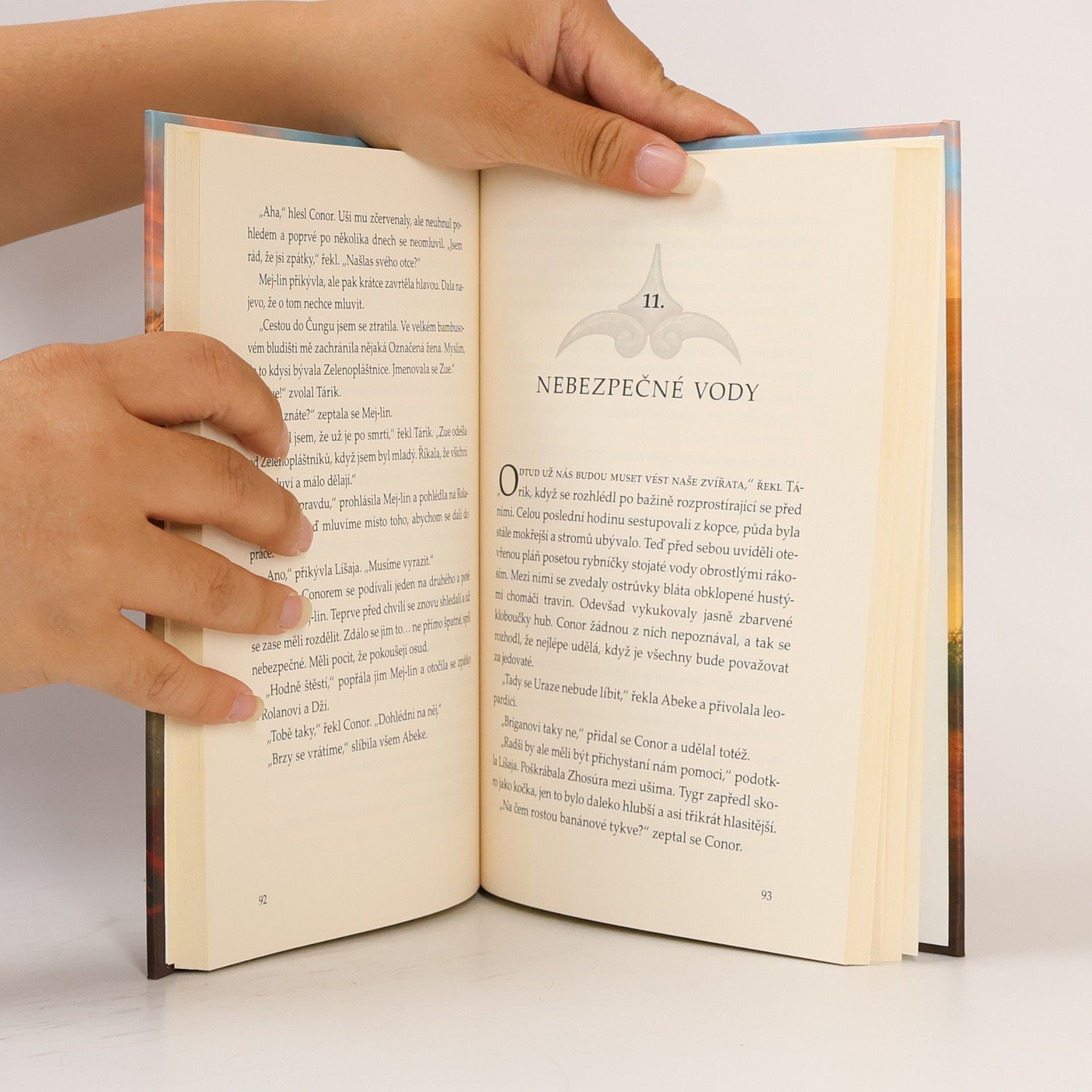 Garth Nix Pokrevní pouto