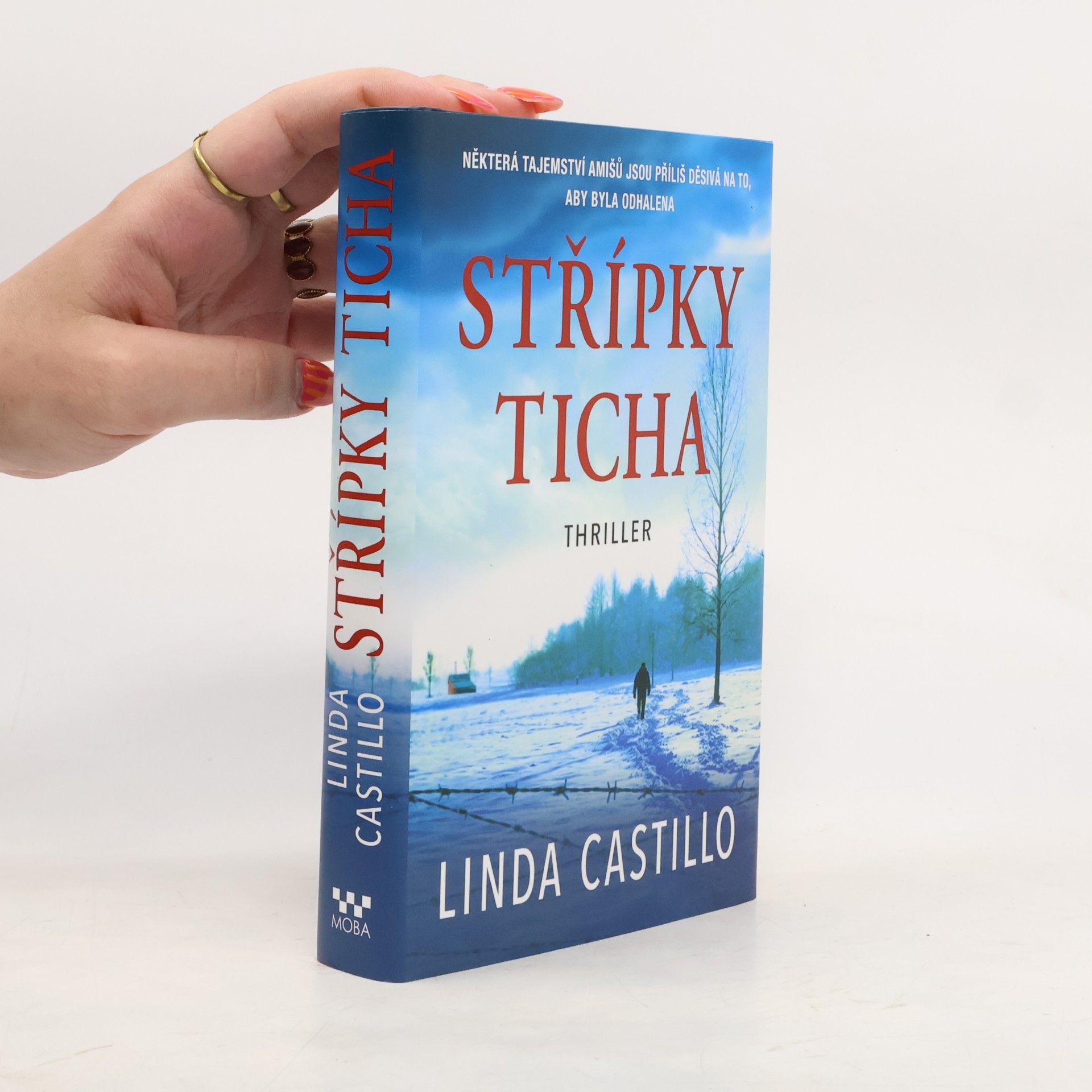 Linda Castillo Střípky ticha
