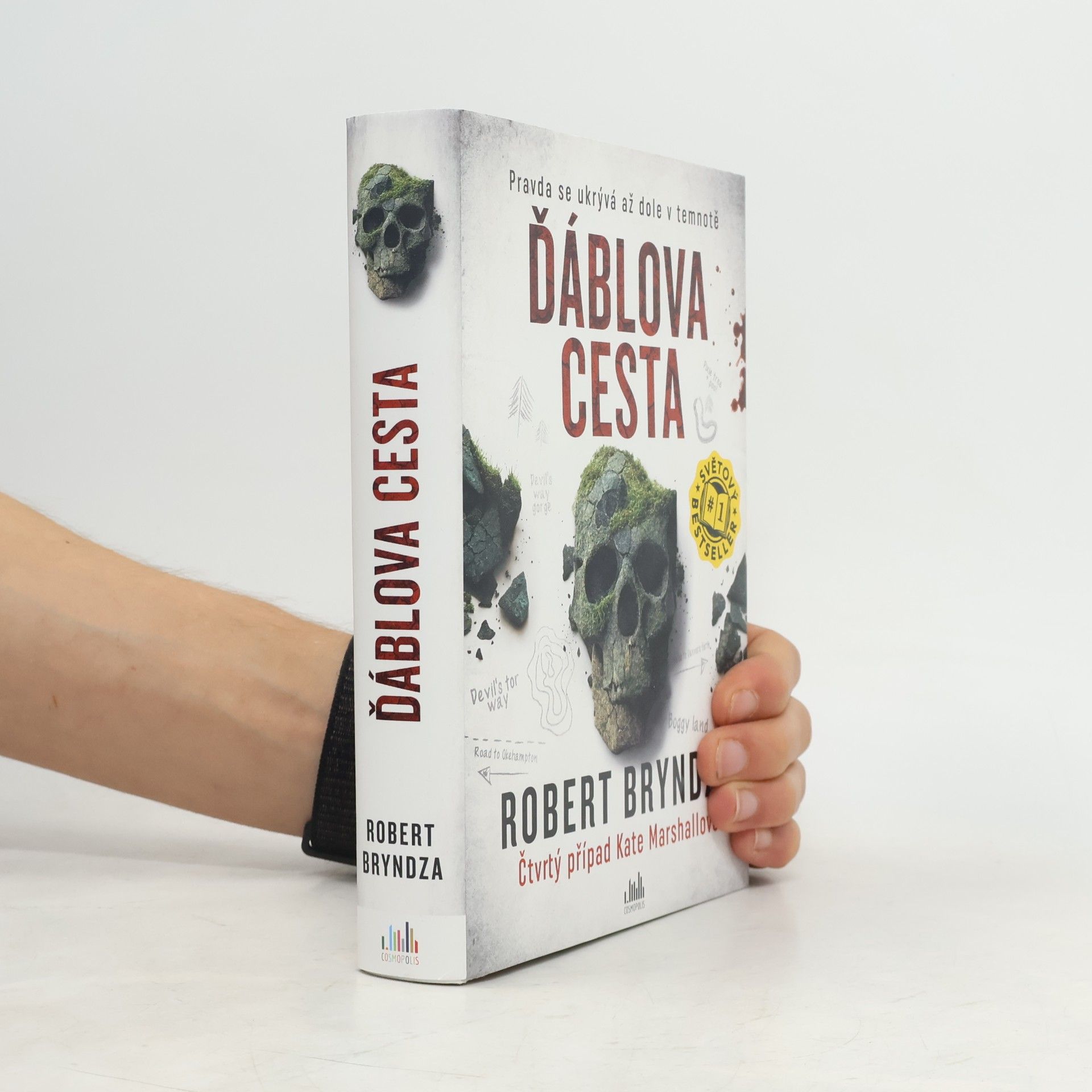 Robert Bryndza Ďáblova cesta