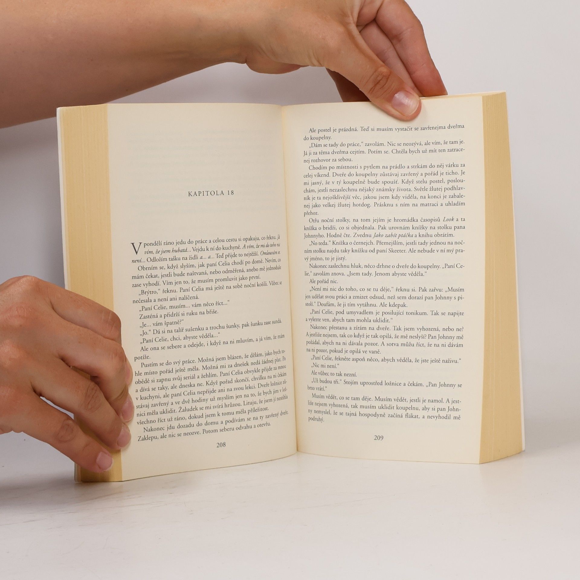 Kathryn Stockett Černobílý svět