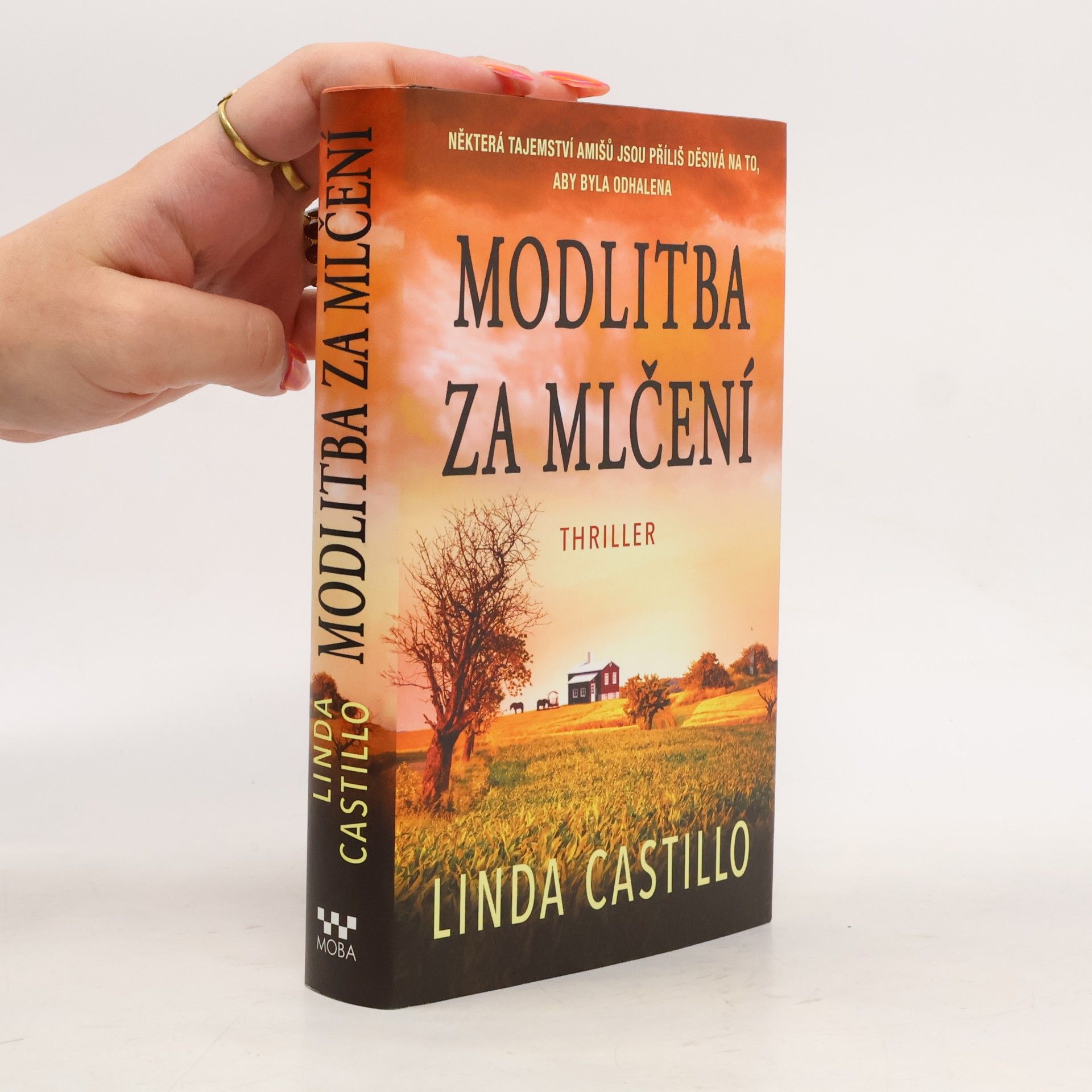 Linda Castillo Modlitba za mlčení