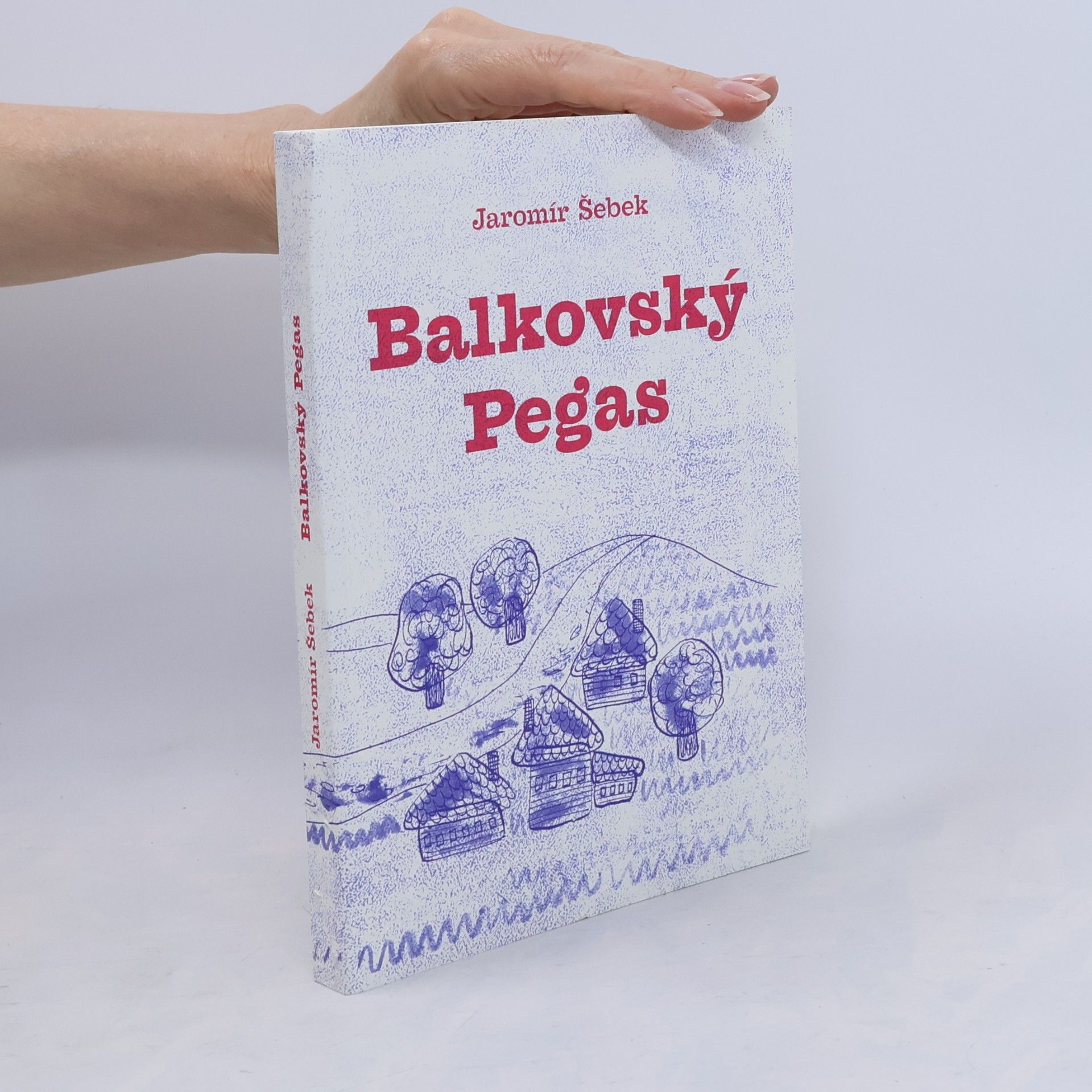 Jaromír Šebek Balkovský Pegas