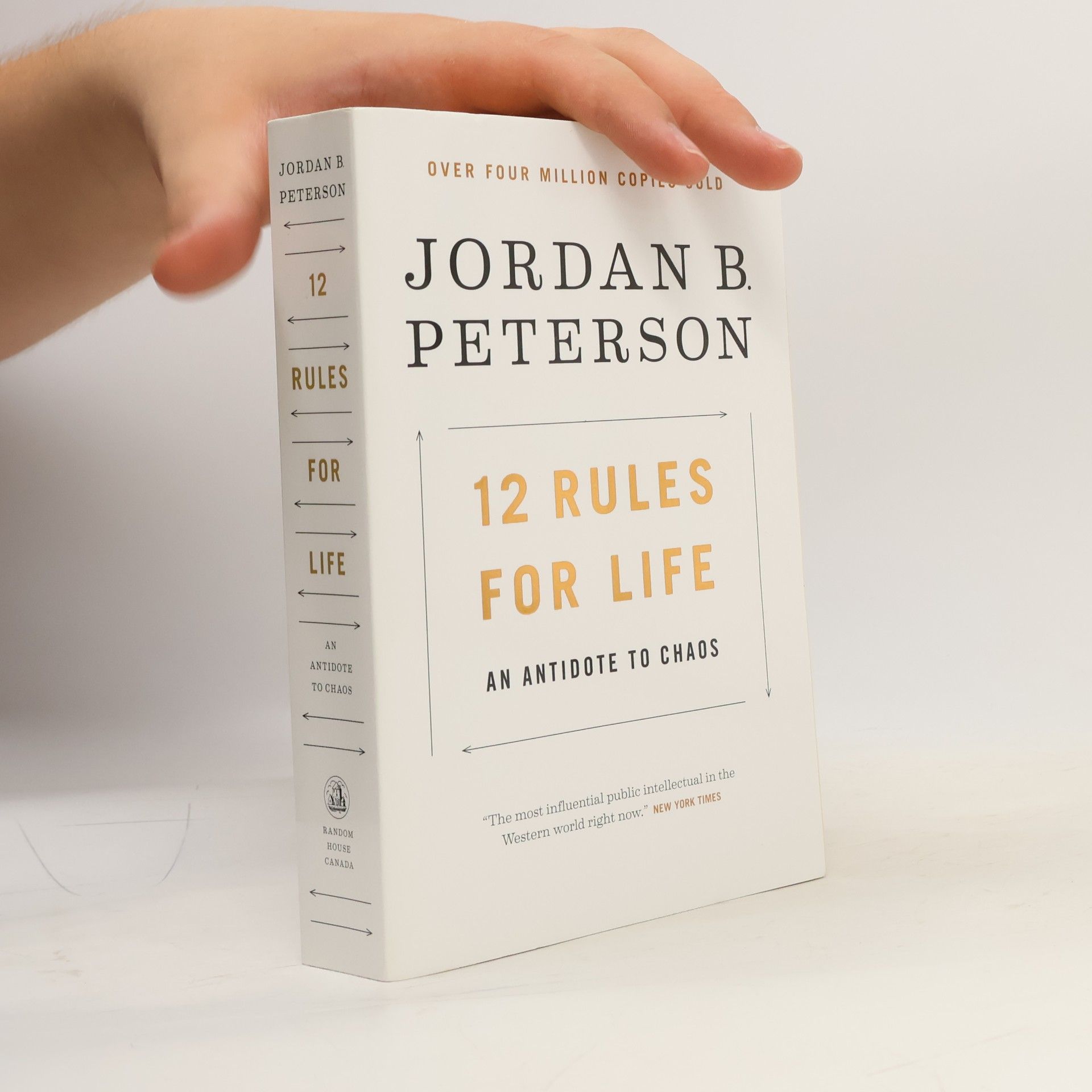 Jordan Peterson 12 Rules for Life