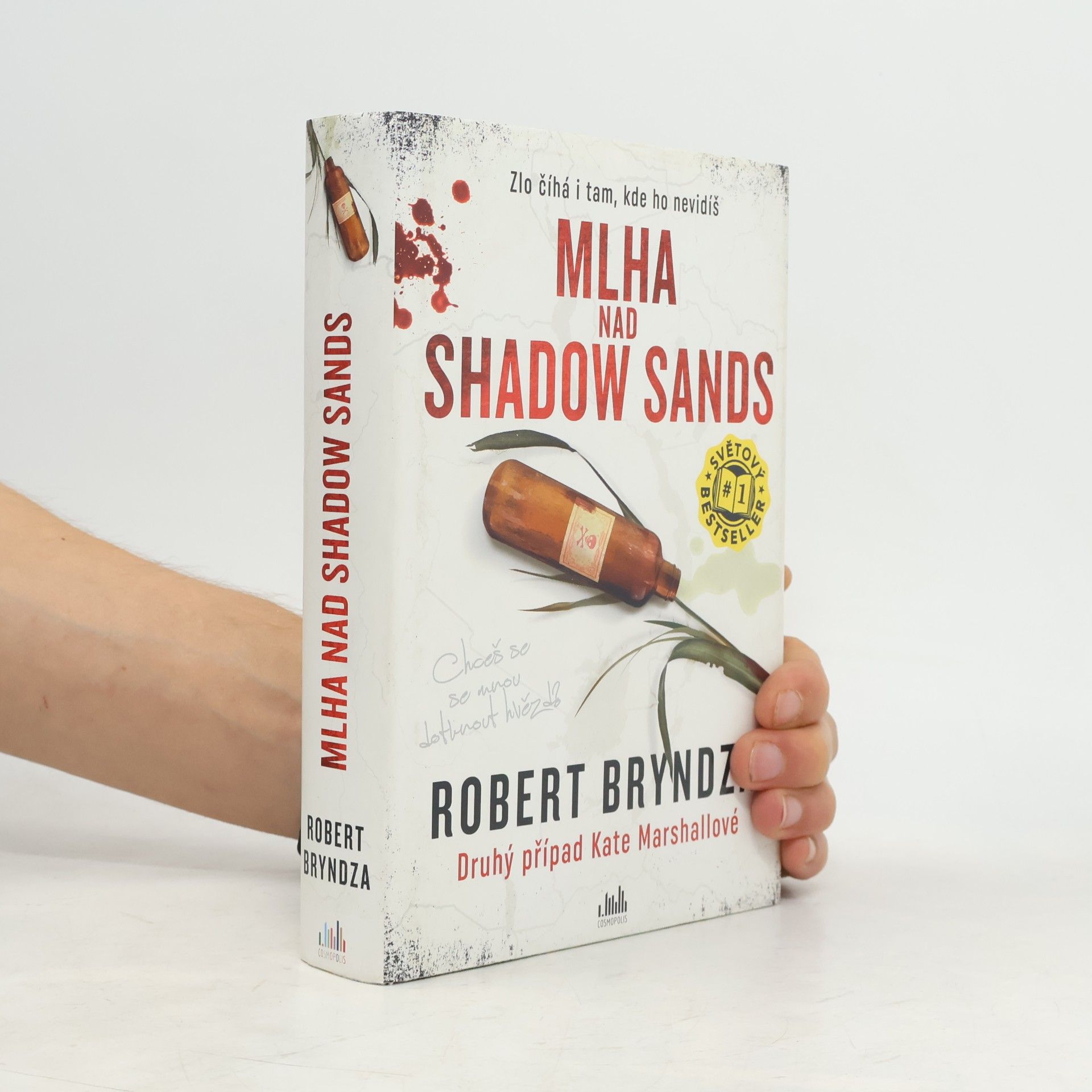 Robert Bryndza Mlha nad Shadow Sands