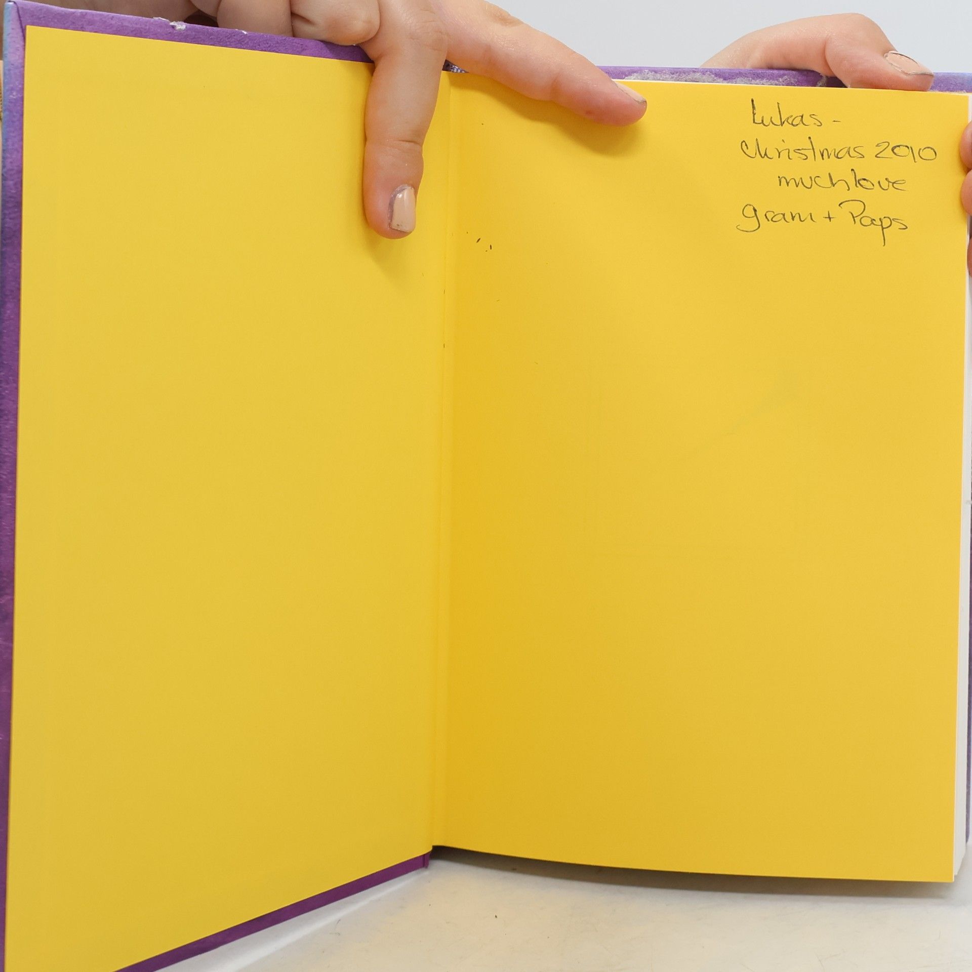 Jeff Kinney Diary of a Wimpy Kid. The Ugly Truth
