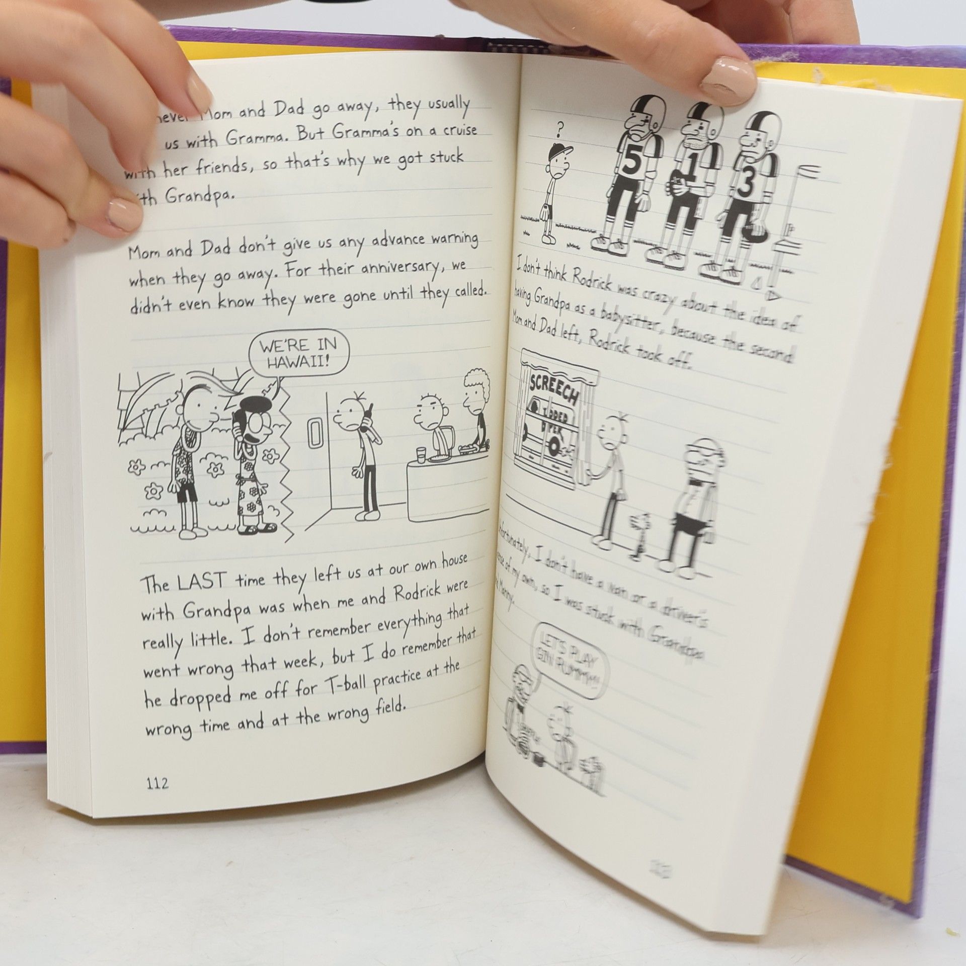 Jeff Kinney Diary of a Wimpy Kid. The Ugly Truth