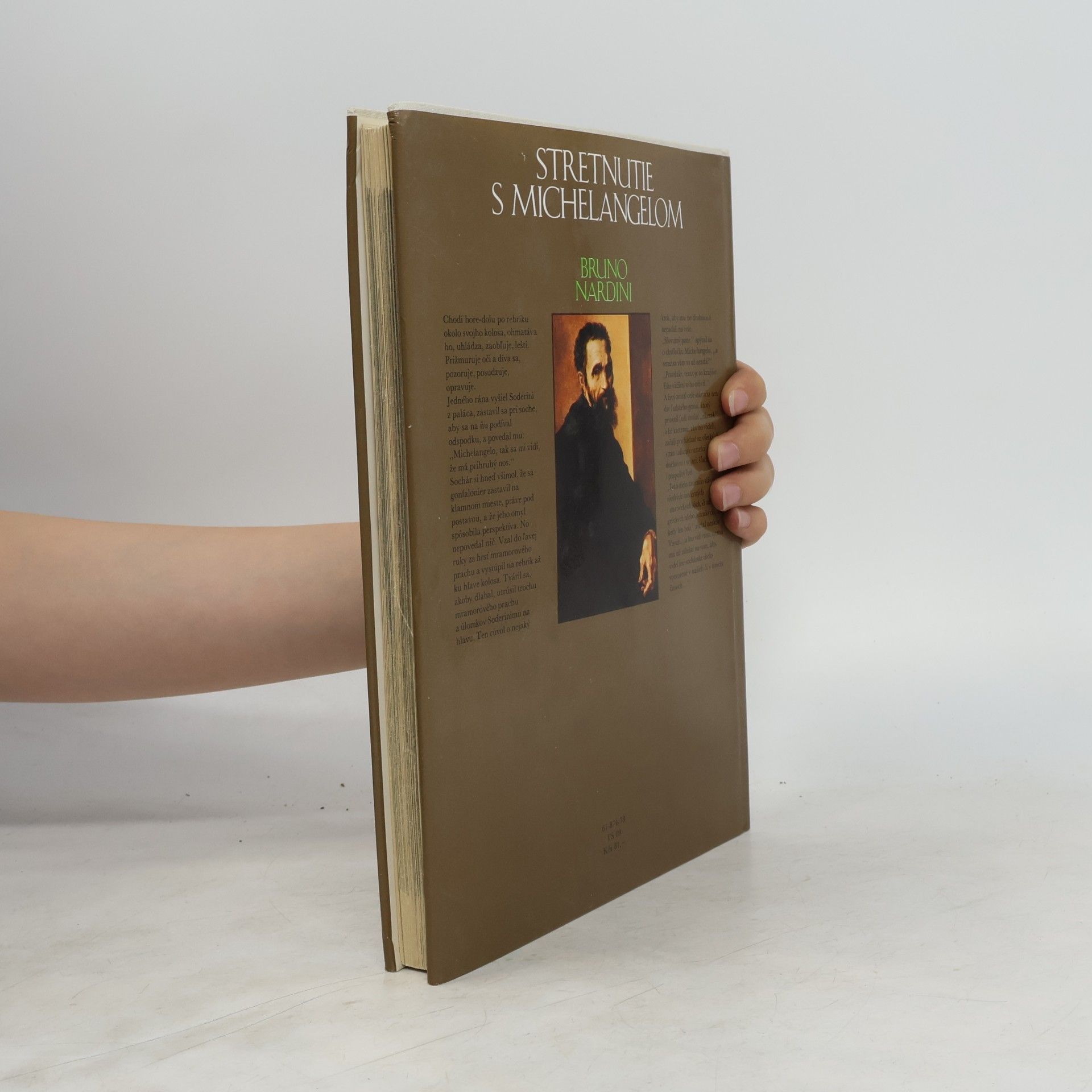 Bruno Nardini Stretnutie s Michelangelom