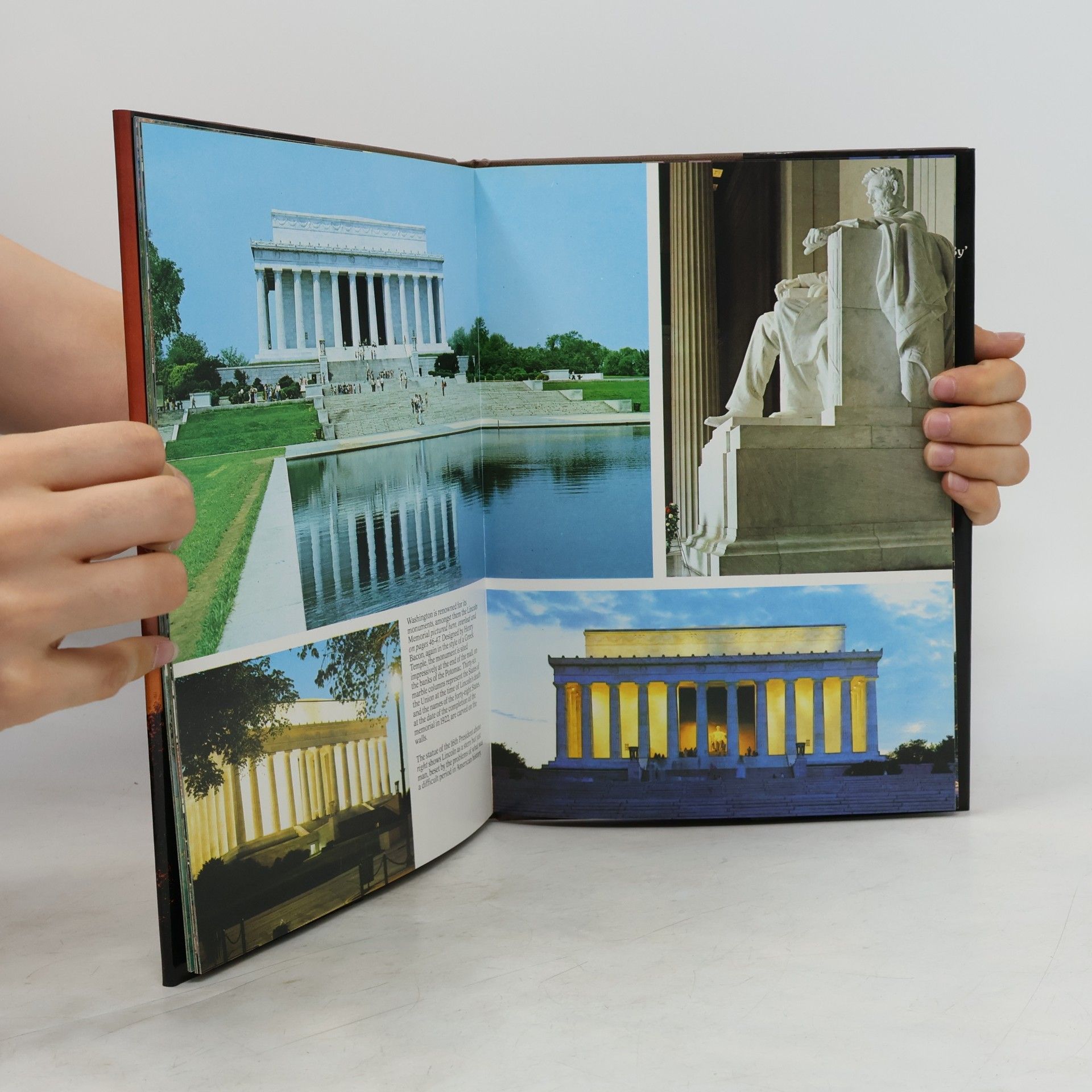Ted Gibbon Washington A Picture Book to Remember Her By