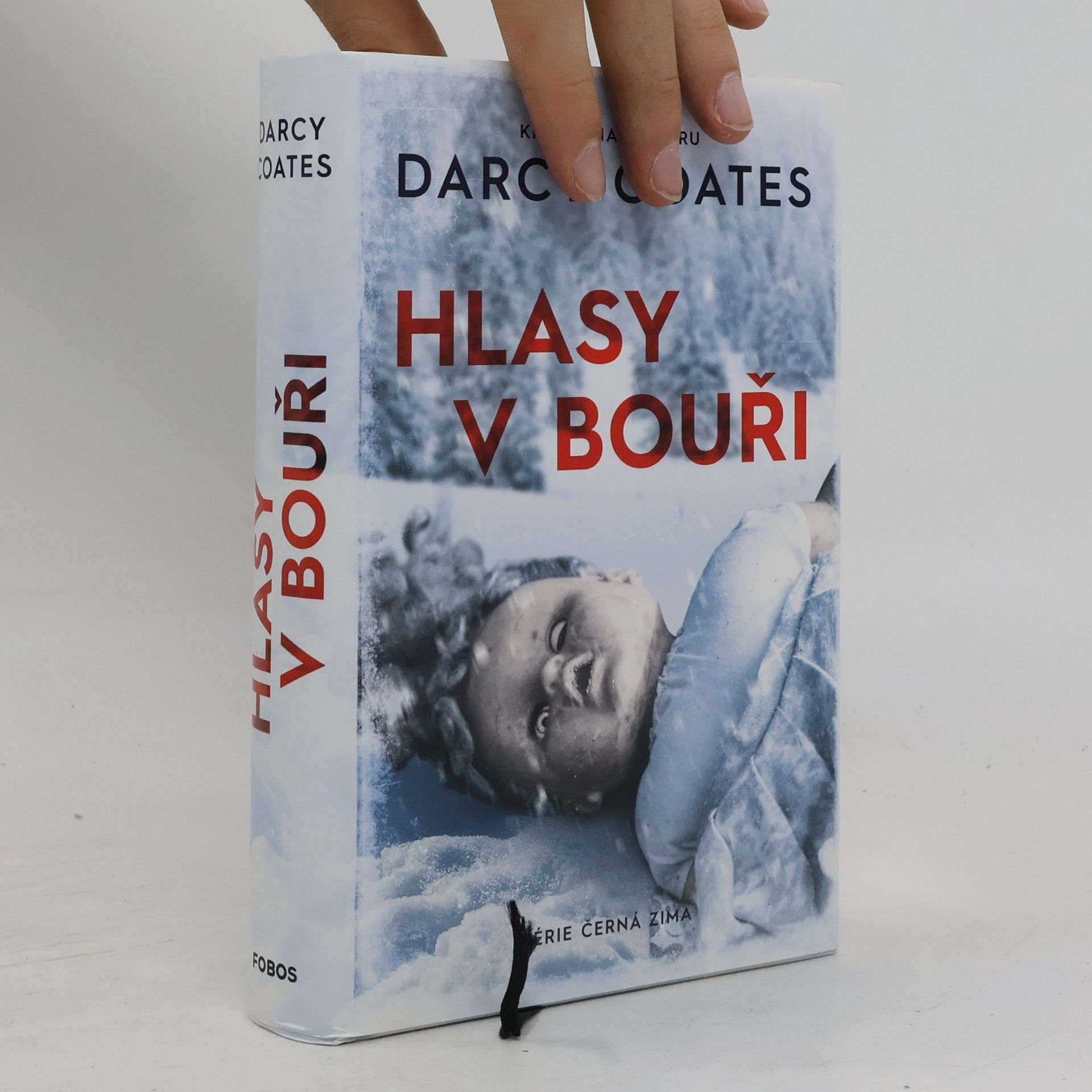 Darcy Coates Hlasy v bouři