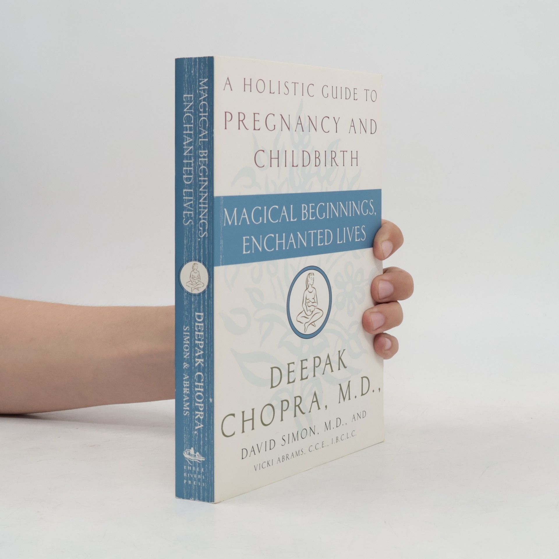 Vicki Abrams Magical Beginnings, Enchanted Lives: A Holistic Guide to Pregnancy and Childbirth