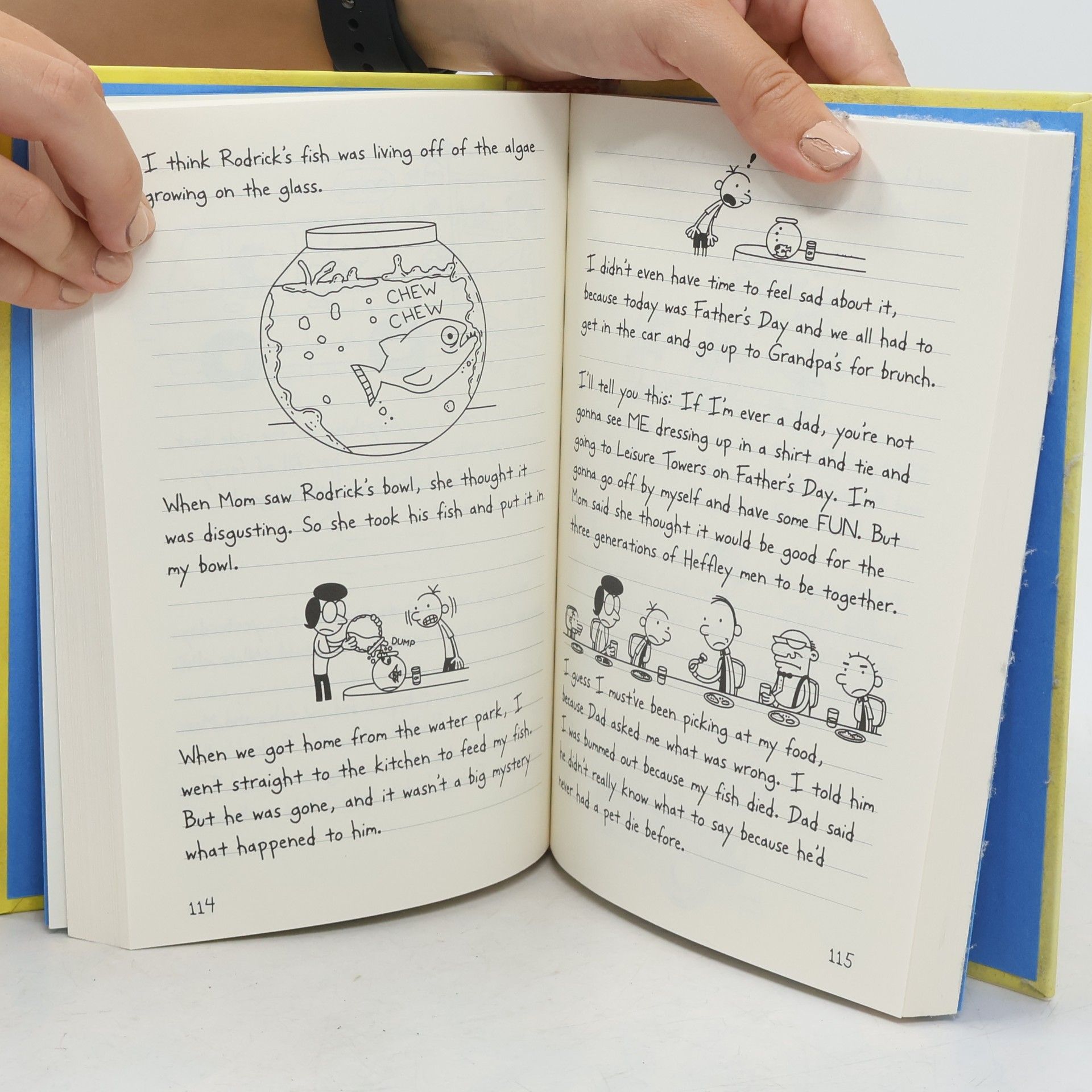 Jeff Kinney Diary of a wimpy kid: dog days