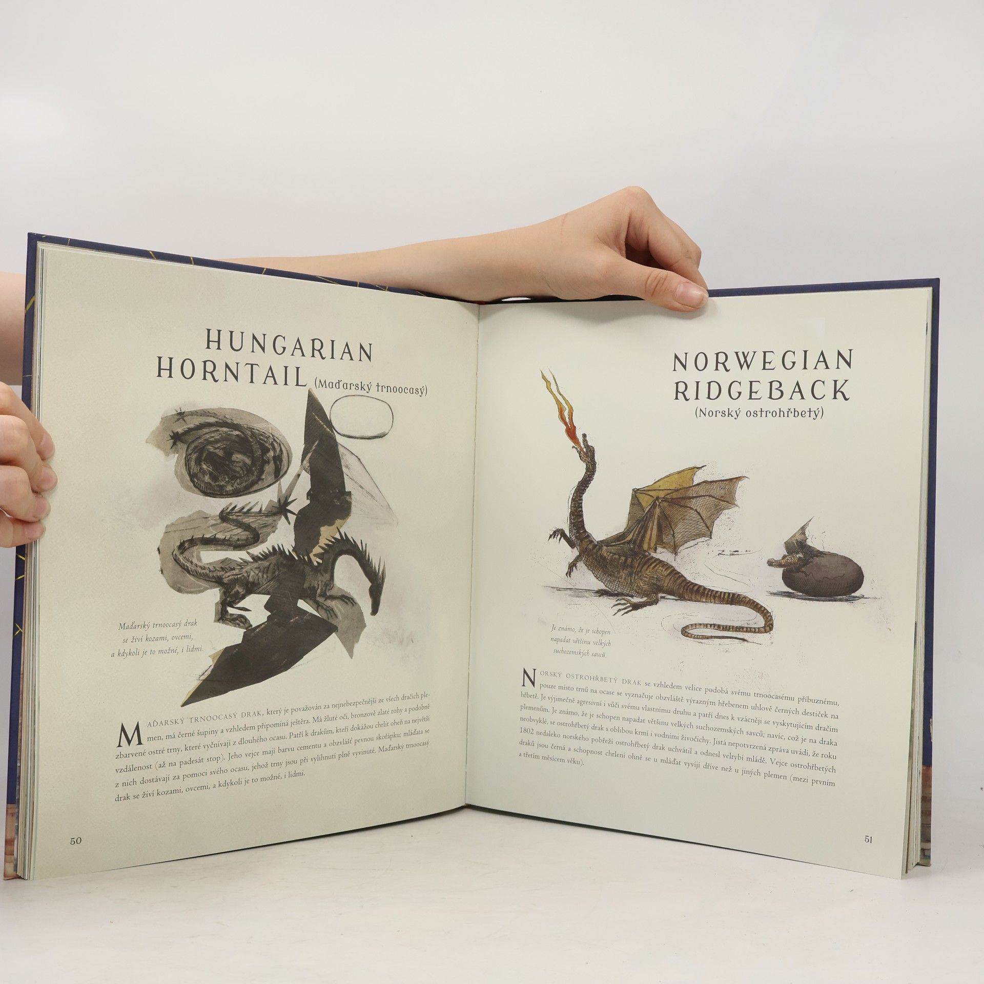 J. K. Rowling Fantastická zvířata a kde je najít