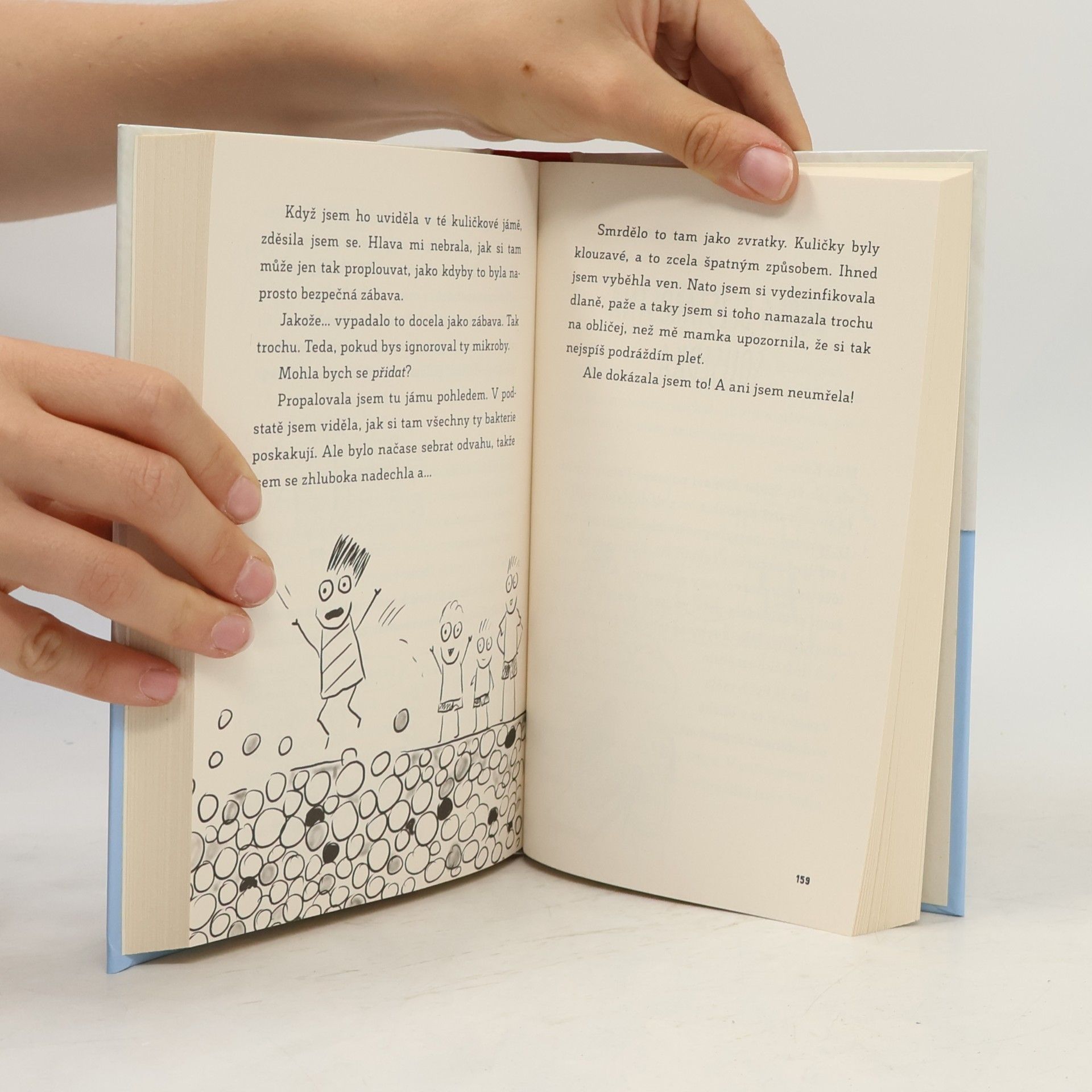 Sara Shepard Deník jedné páťačky