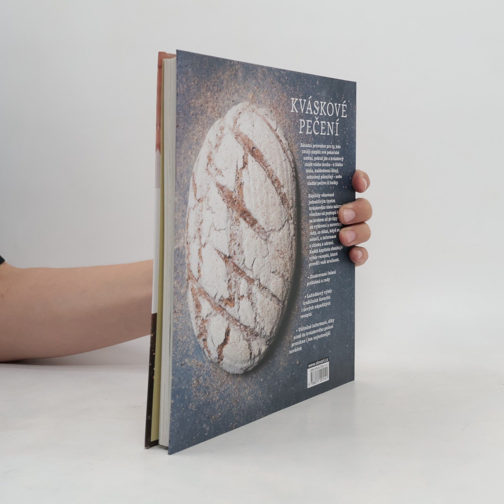Jane Mason Kváskové pečení. Naučte se péct chléb a pečivo s kvásky