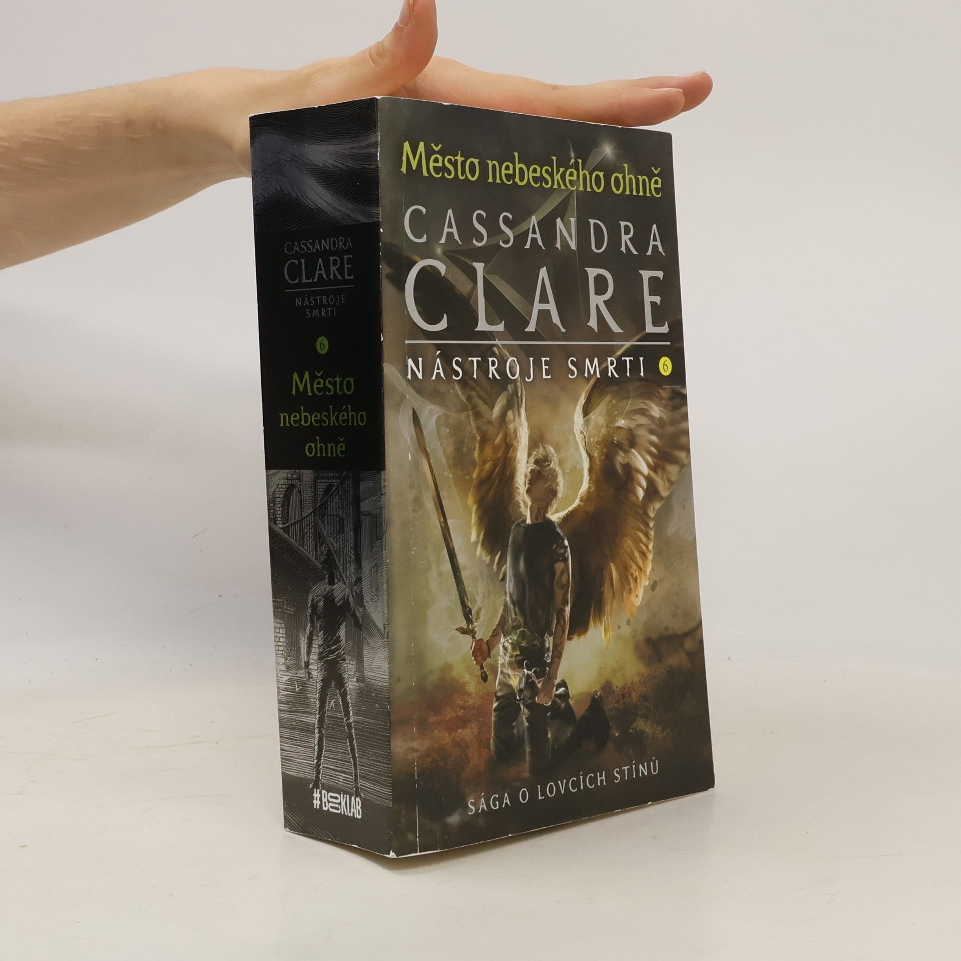 Cassandra Clare Nástroje smrti 6: Město nebeského ohně