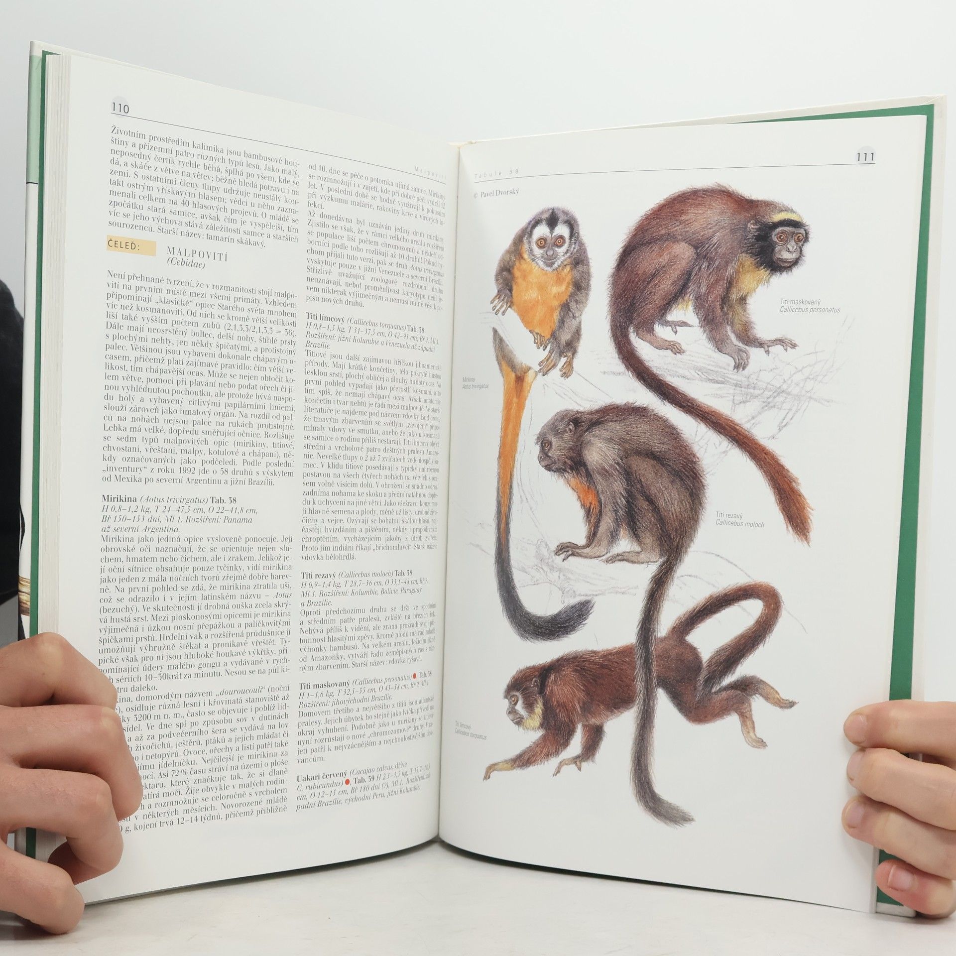 Autorenkollektiv Savci (1) : ptakořitní, vačnatci, chudozubí, hmyzožravci, tany, letuchy, letouni, primáti