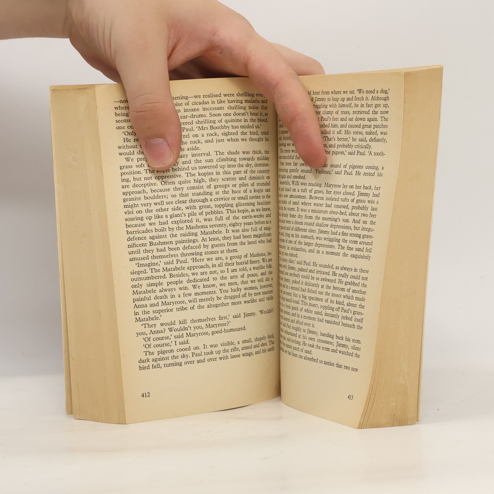 Doris Lessing The Golden Notebook