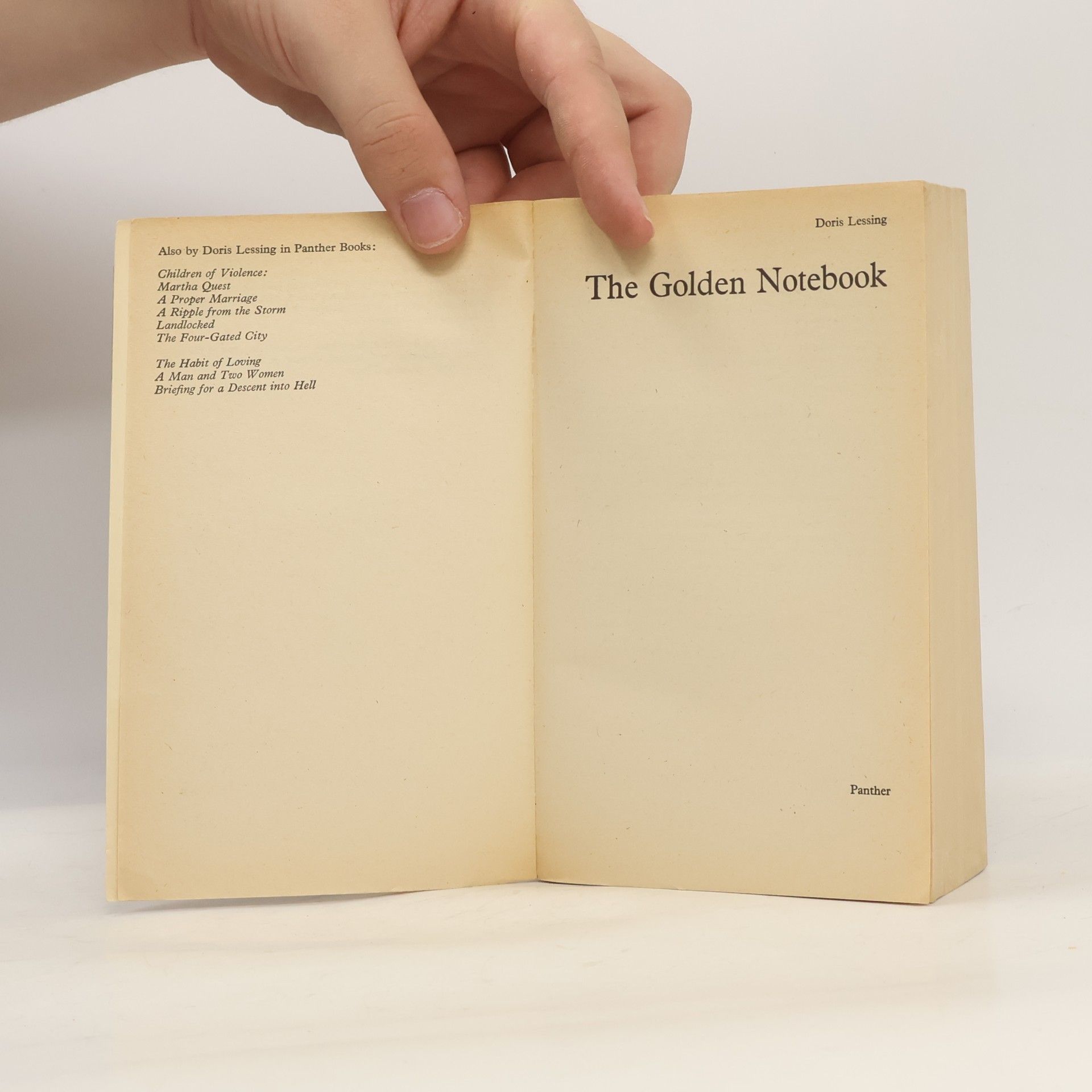 Doris Lessing The Golden Notebook