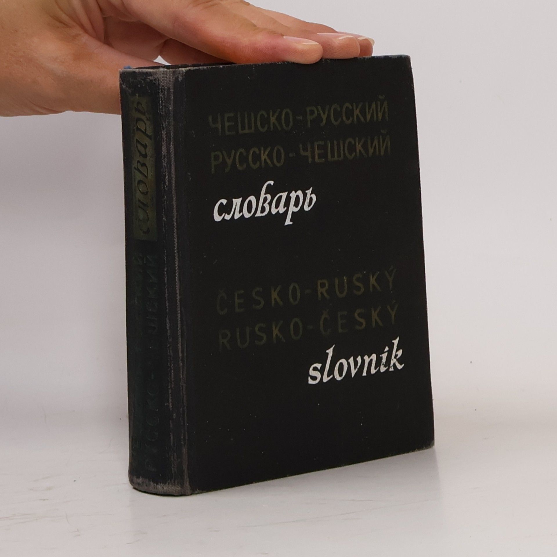 Autorenkollektiv Чешско-русский, русско-чешский словарь. Česko-ruský, rusko-český slovník