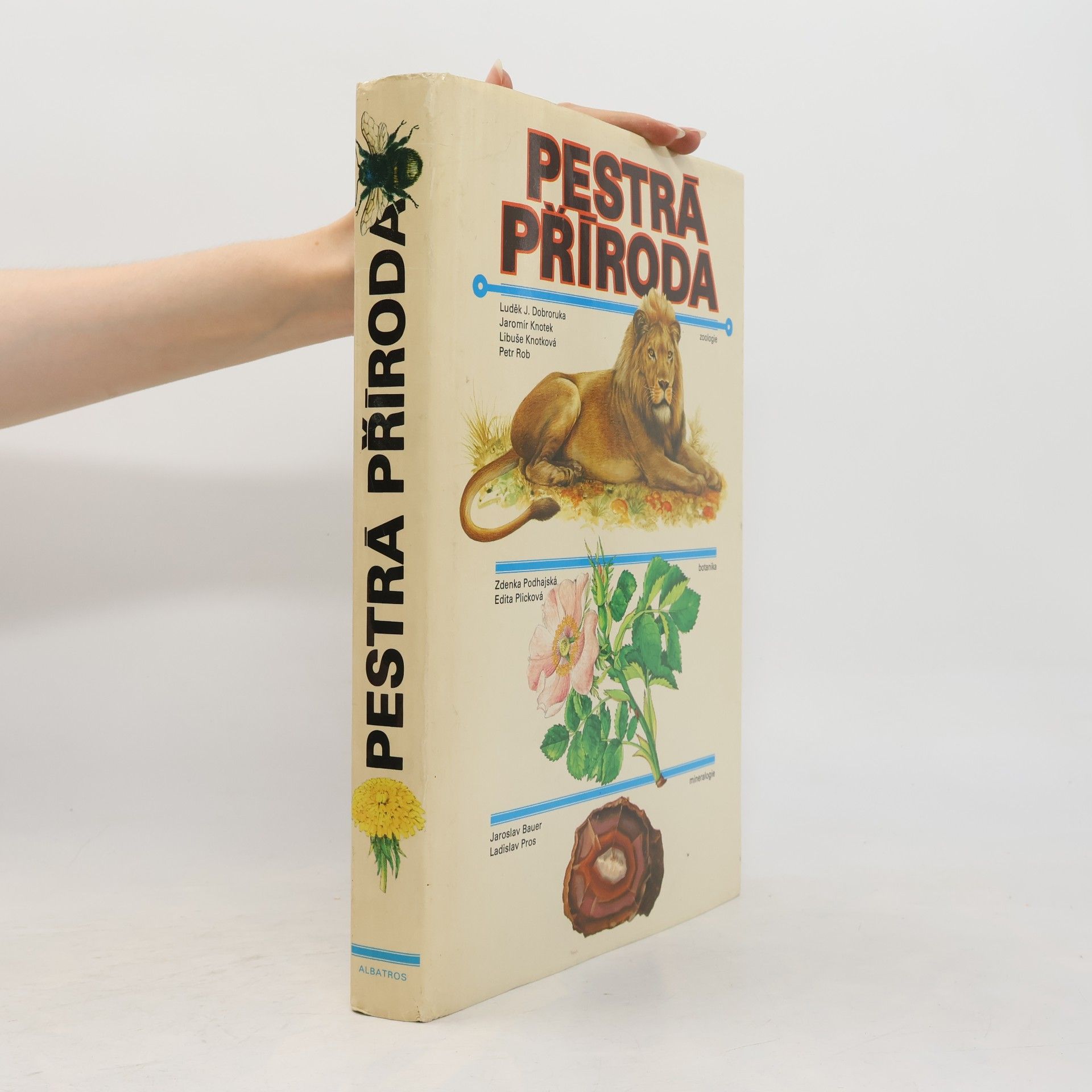 Kolektiv autorů Pestrá příroda