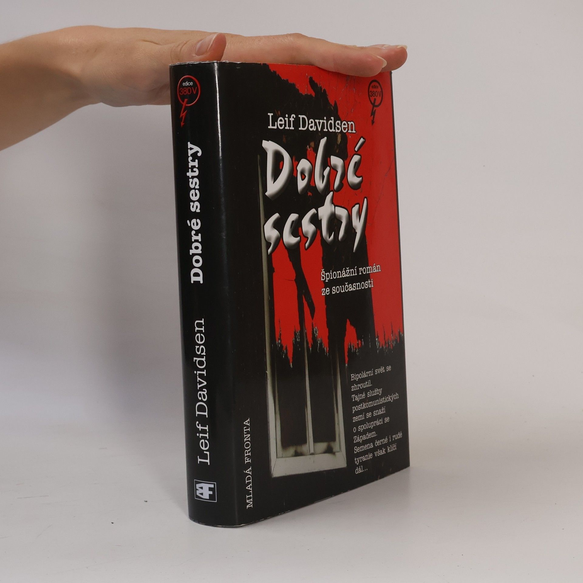 Leif Davidsen Dobré sestry